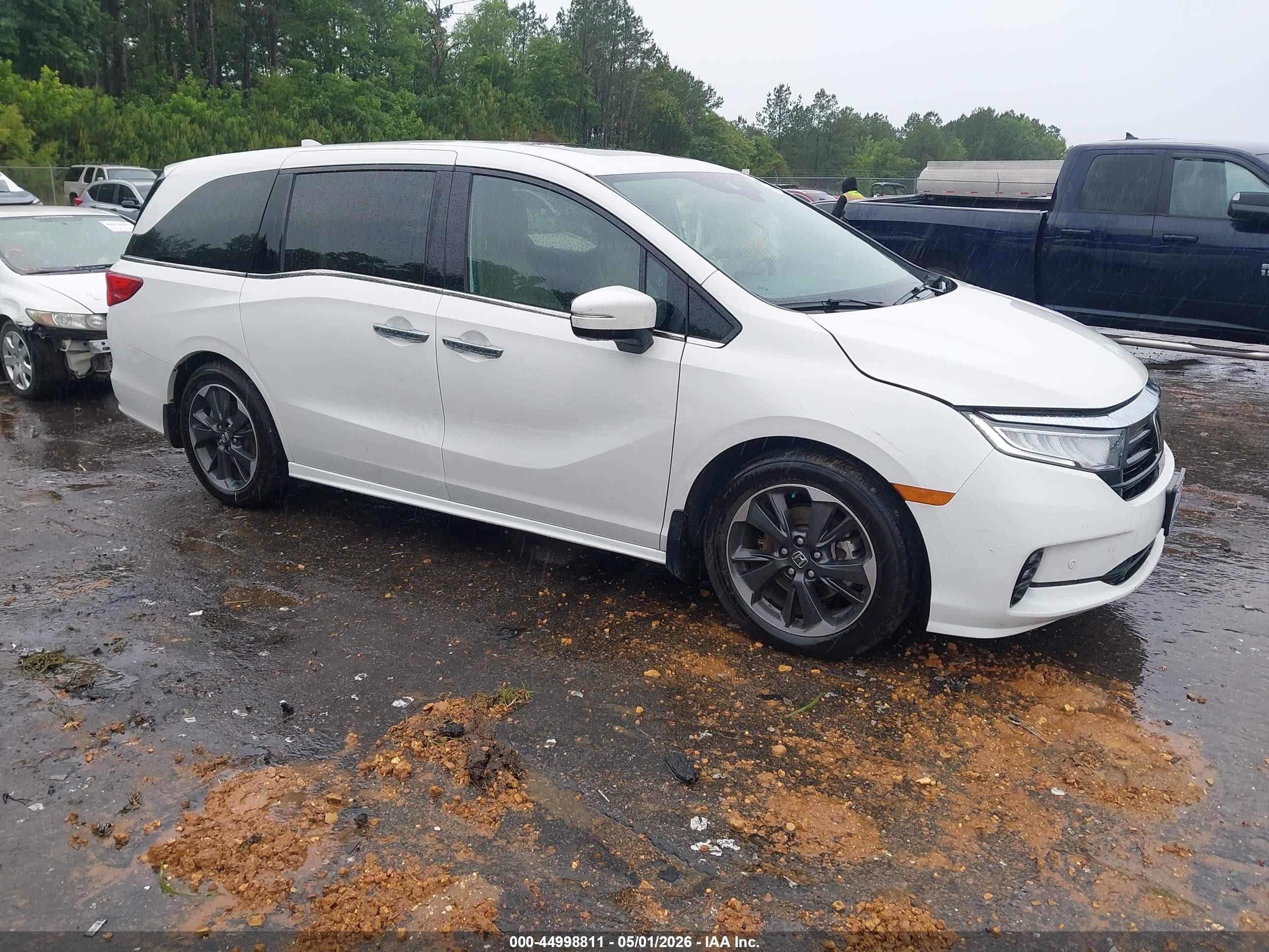 2024 Honda Odyssey Elite, VIN 5FNRL6H92RB005946 — Water / flood