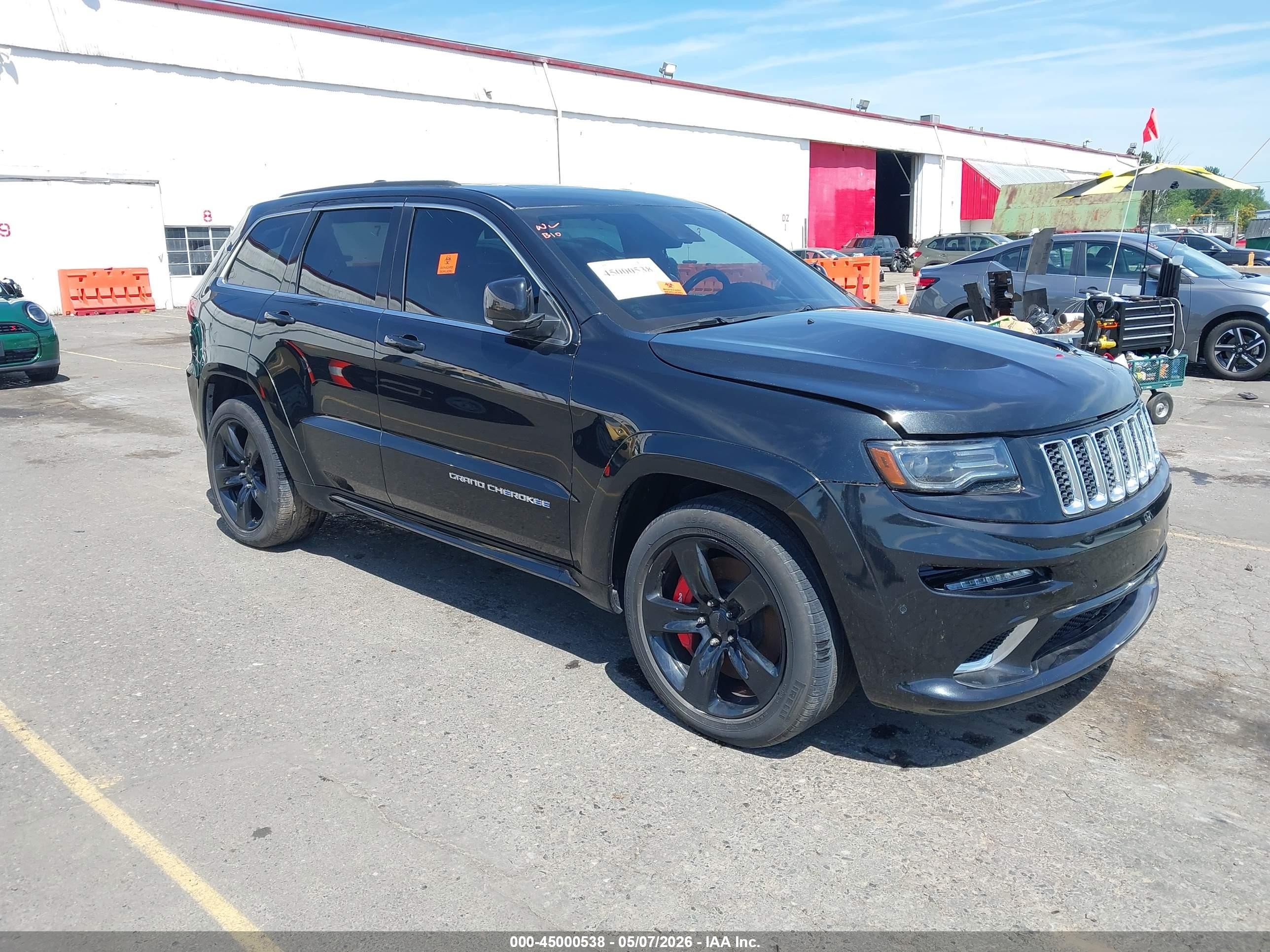 2014 Jeep Grand Cherokee SRT-8, VIN 1C4RJFDJ9EC290027 — Биологическое загрязнение