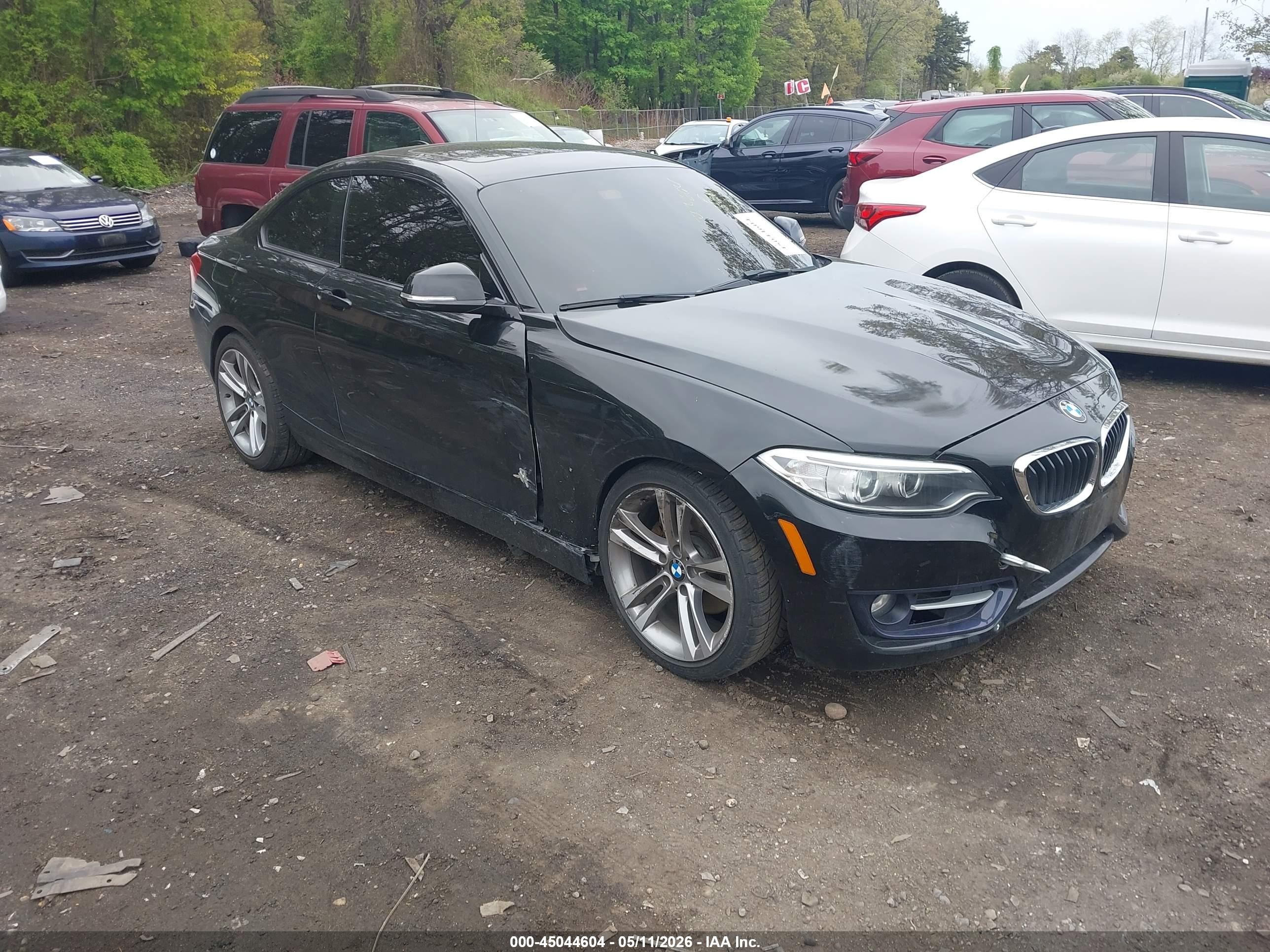 2015 BMW 2 Series 228i xDrive, VIN WBA1F7C5XFV367516 — Side