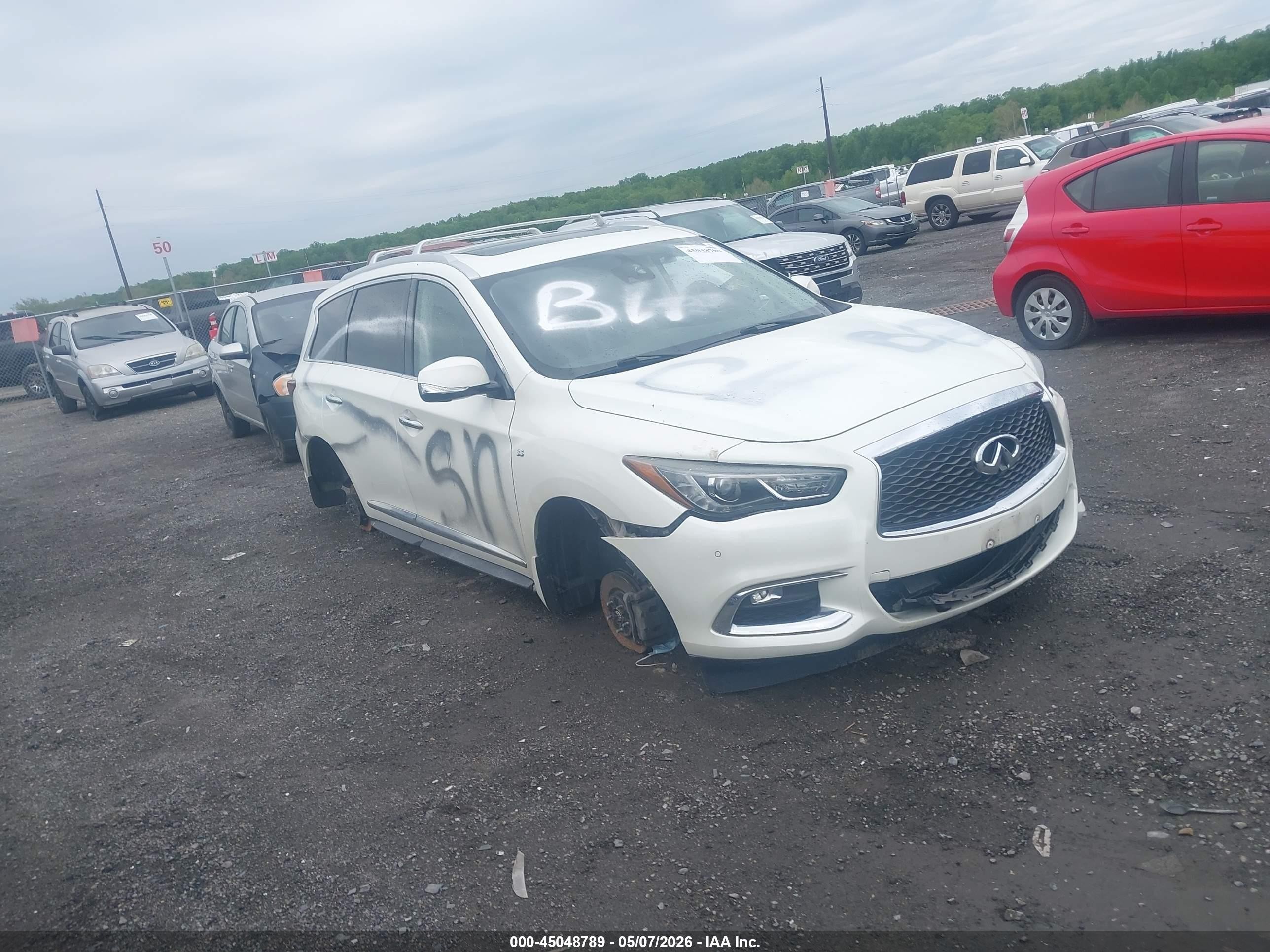 2019 Infiniti QX60 Luxe, VIN 5N1DL0MMXKC569800 — Vandalism