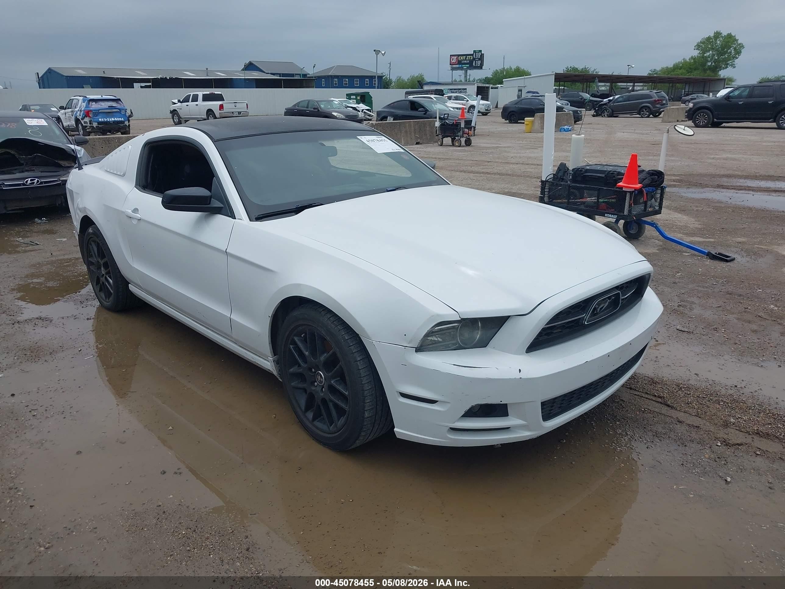 2014 Ford Mustang Premium, VIN 1ZVBP8AM5E5332723 — Vandalism