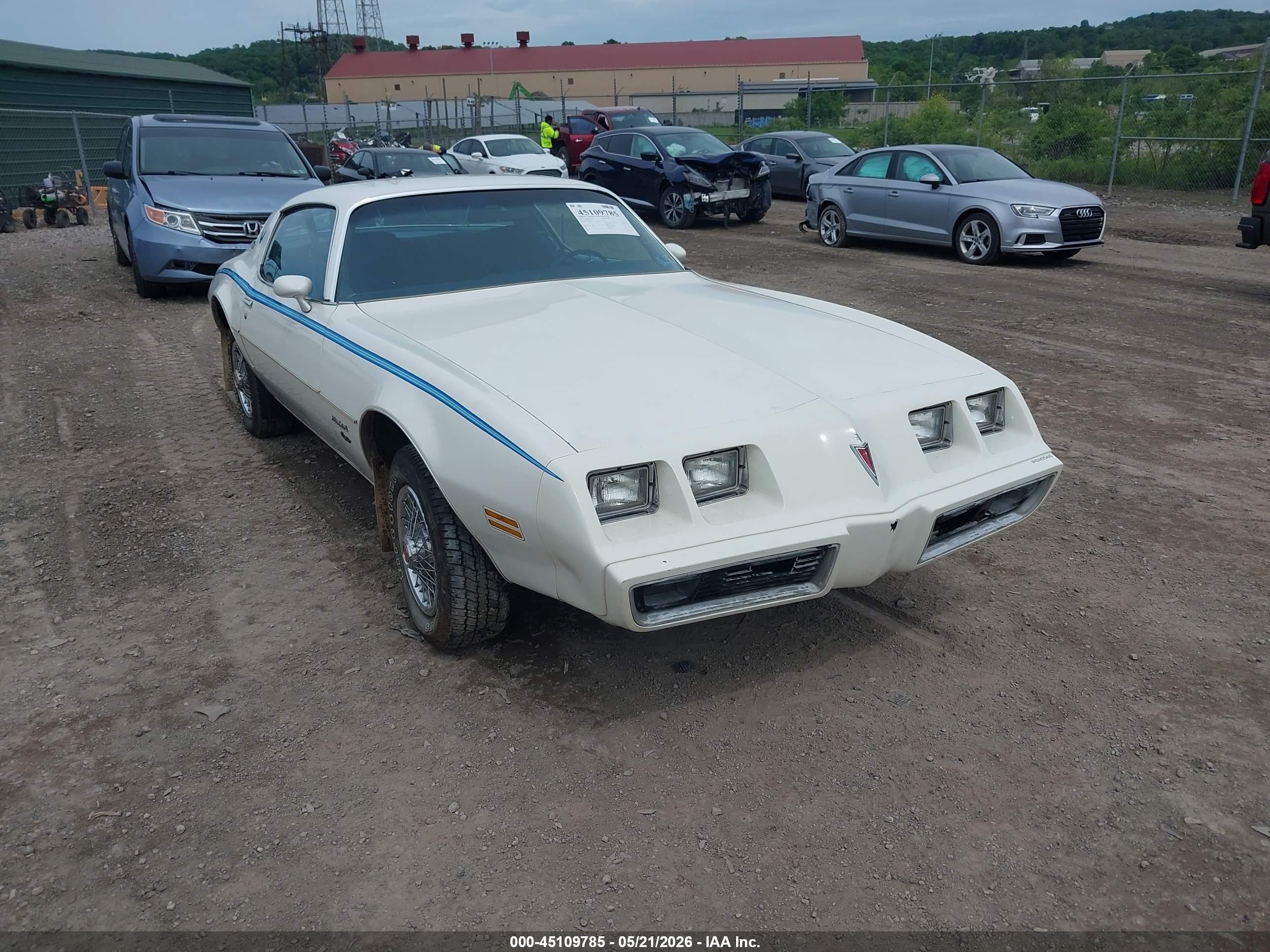 1980 Pontiac Firebird, VIN 2T87AAN119180 — Front end