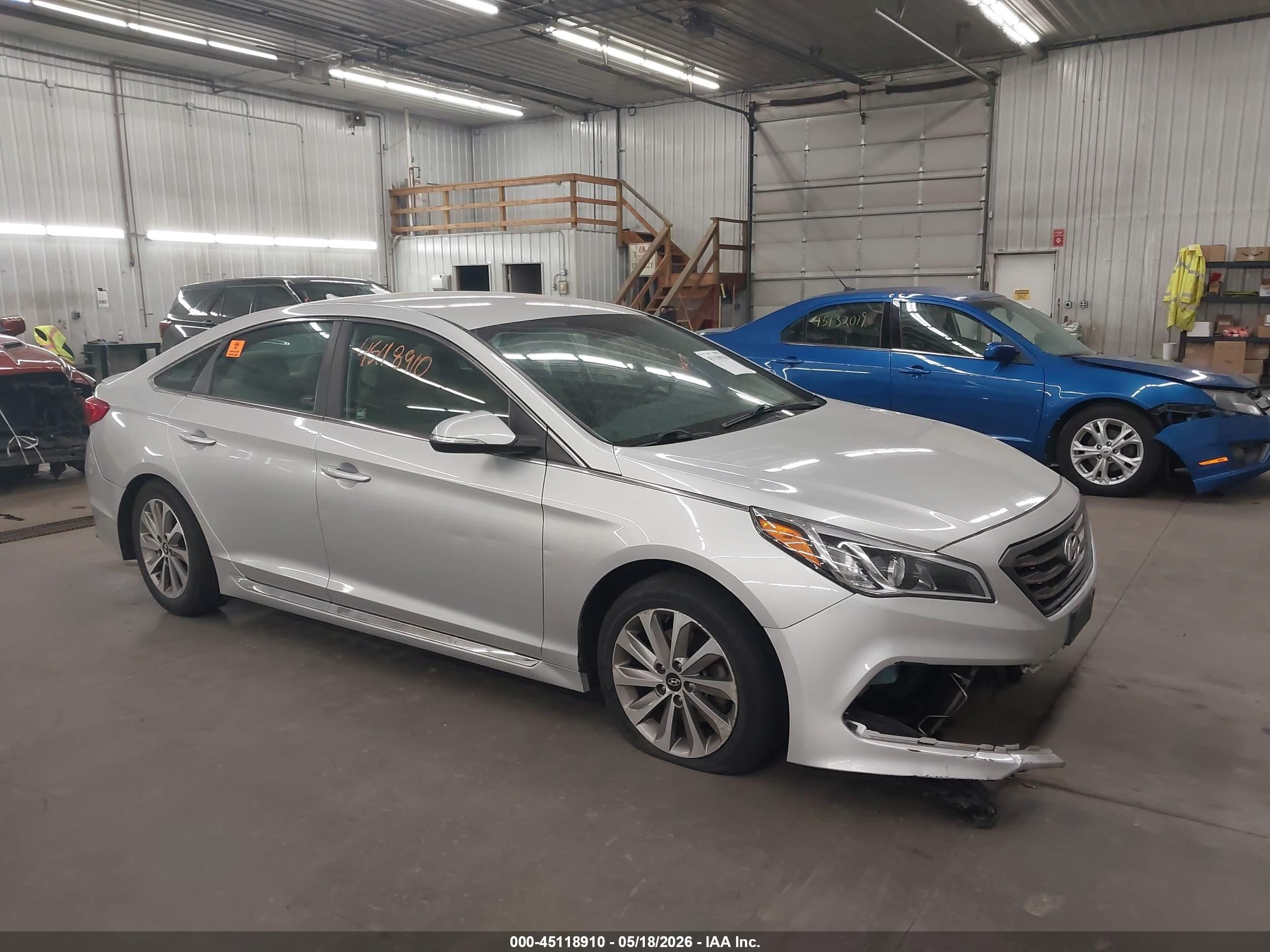 2015 Hyundai Sonata Sport, VIN 5NPE34AF6FH076101 — Биологическое загрязнение