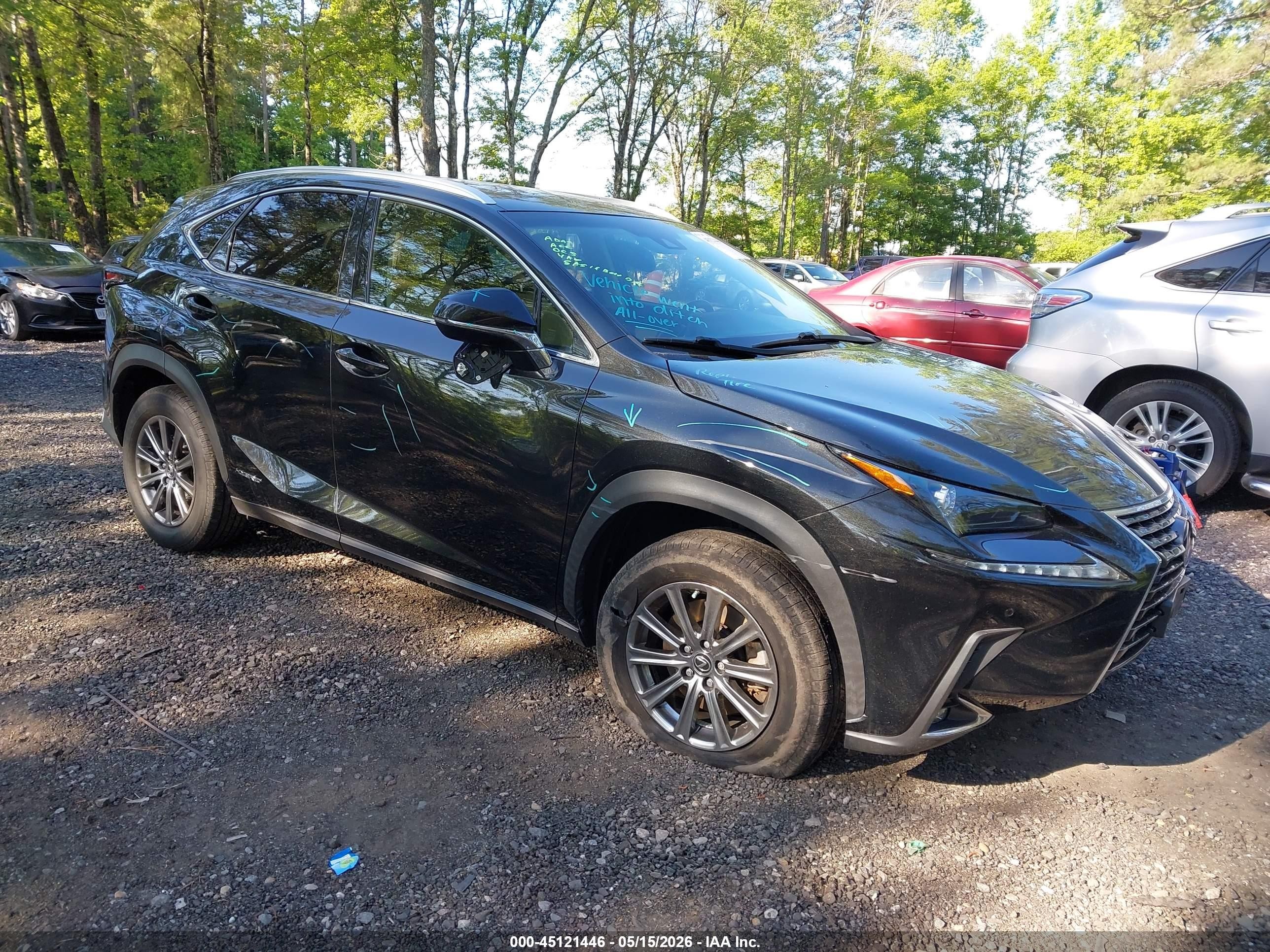 2018 Lexus NX 300h, VIN JTJBJRBZ2J2090289 — Side