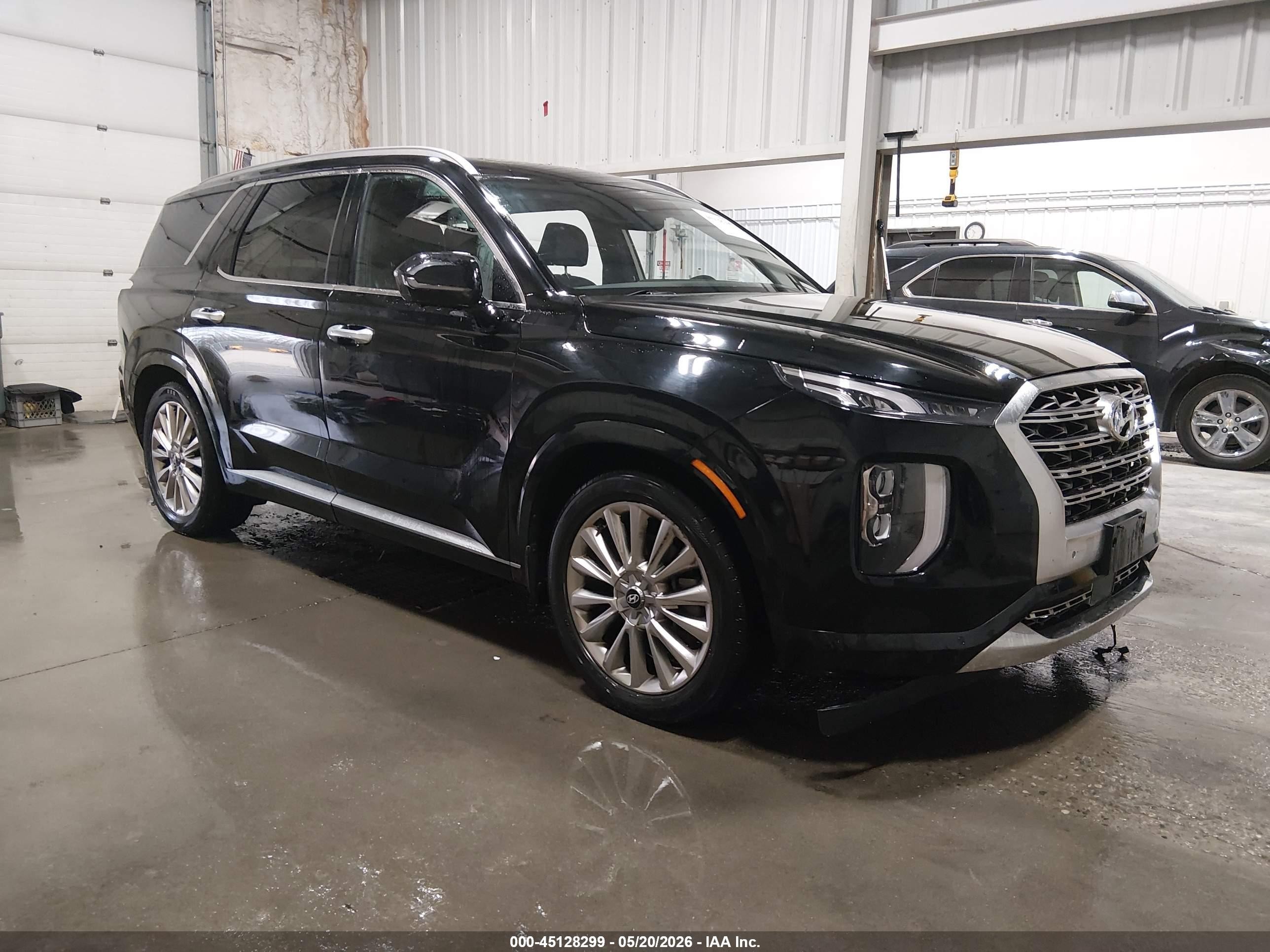 2020 Hyundai Palisade Limited, VIN KM8R5DHE7LU153256 — Side
