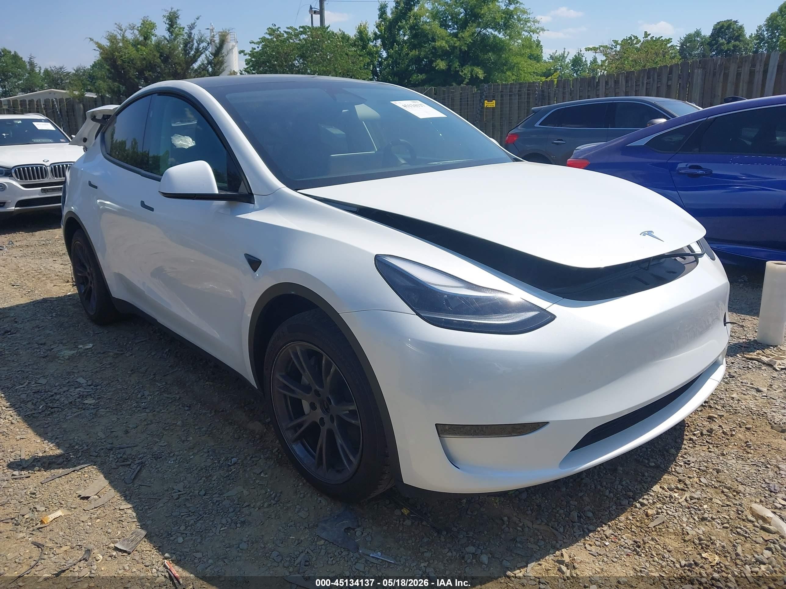 2024 Tesla Model Y, VIN 7SAYGDEDXRF205893 — Rear end