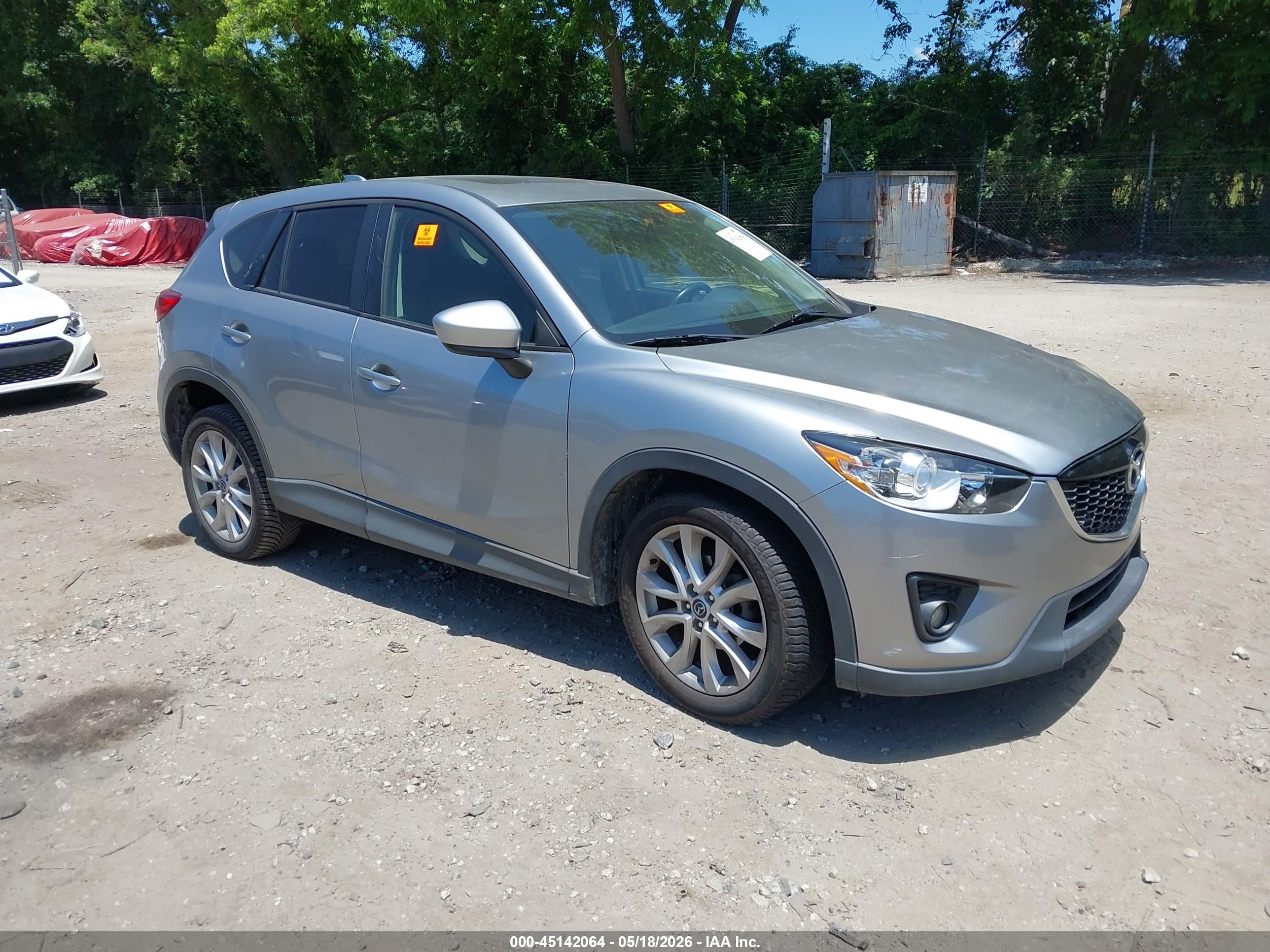 2014 Mazda CX-5 Grand Touring, VIN JM3KE2DY6E0424562 — Биологическое загрязнение