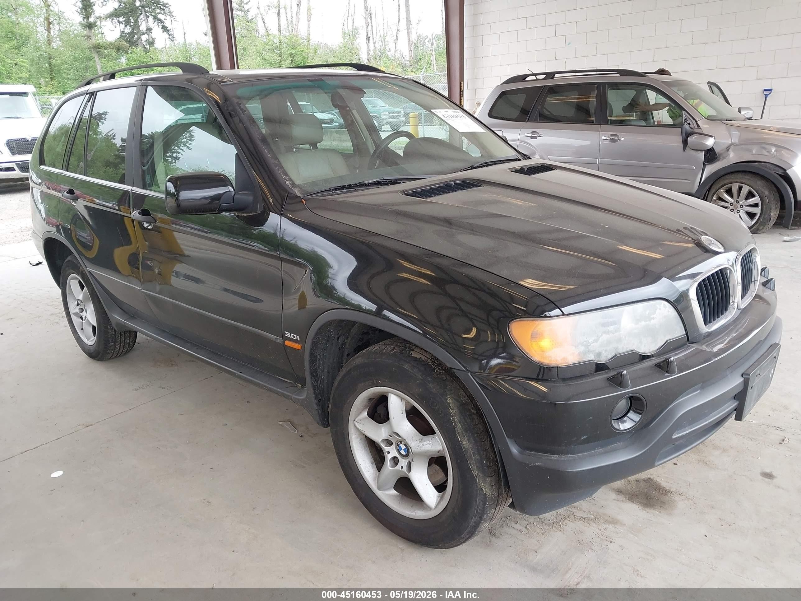 2001 BMW X5 3.0i, VIN WBAFA53591LP21376 — Зад