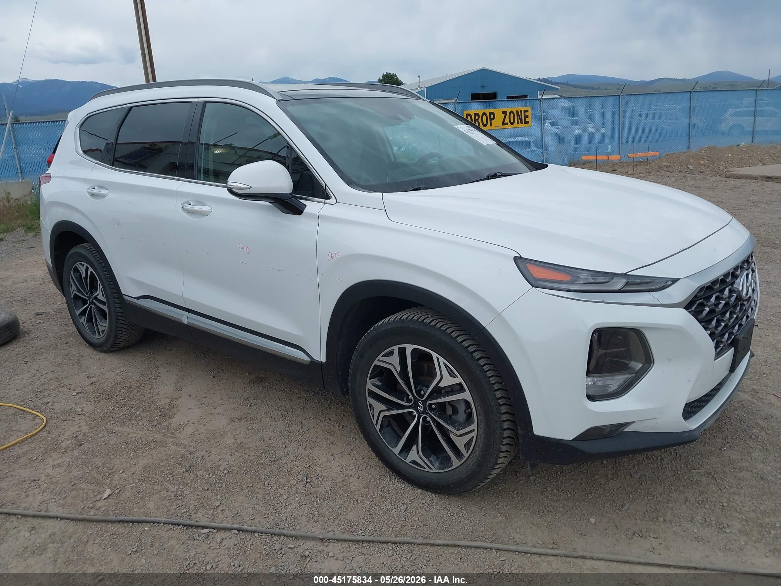 2020 Hyundai Santa Fe SEL, VIN 5NMS3CAAXLH215981 — Rear end