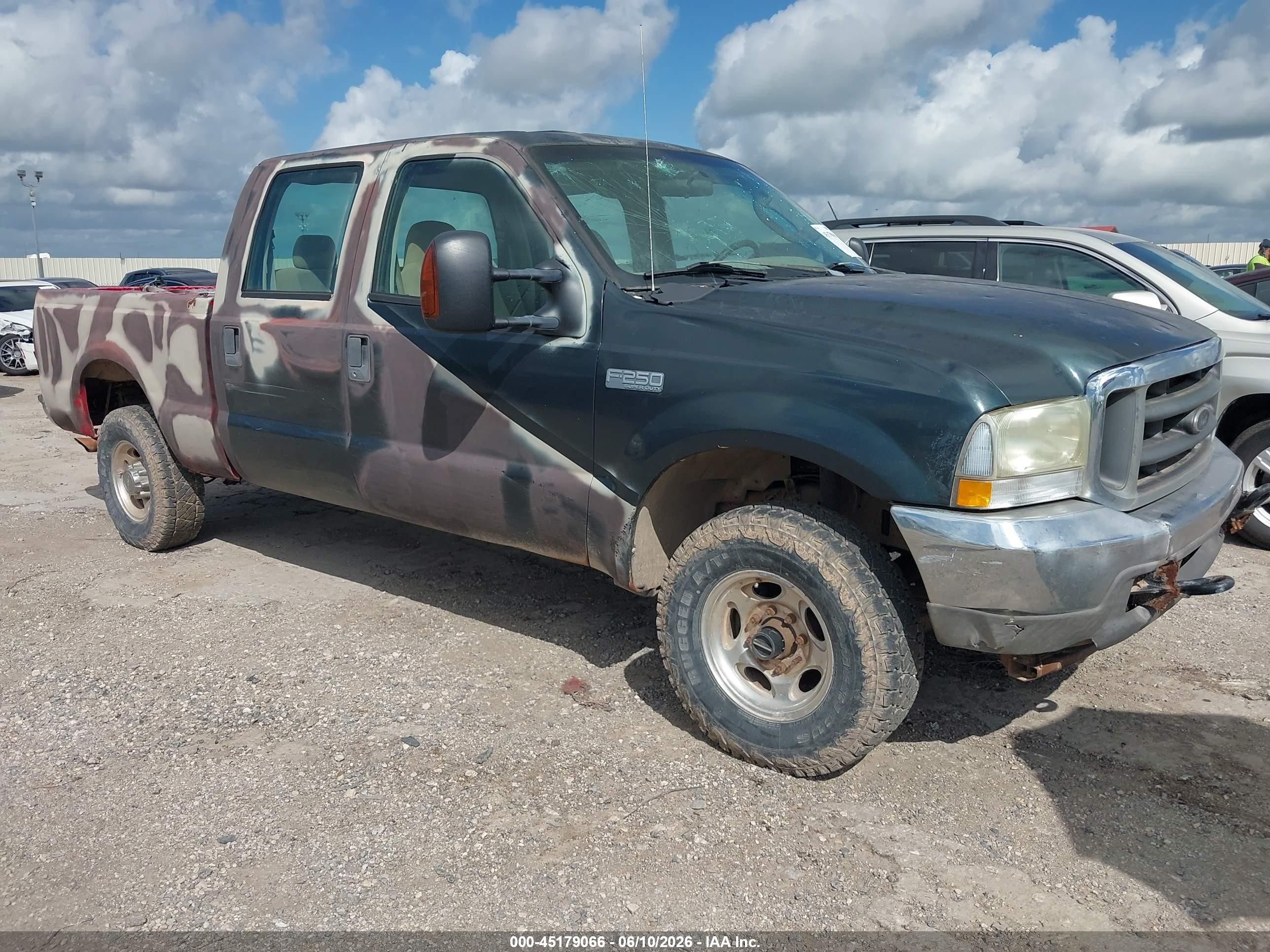 2004 Ford F-250 XL, VIN 1FTNW21L04EB09995 — Hail