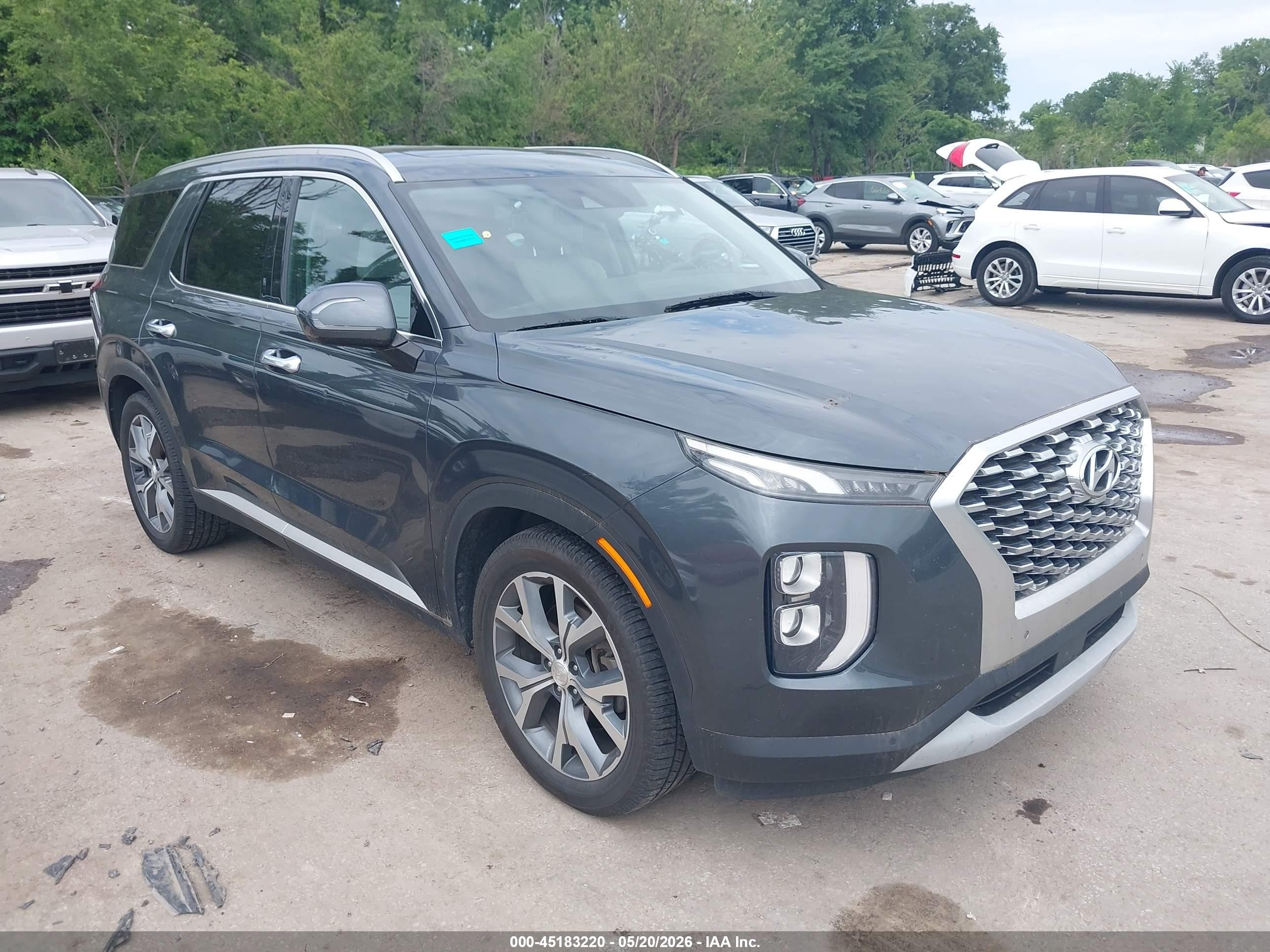 2020 Hyundai Palisade SEL, VIN KM8R3DHE1LU126270 — Hail