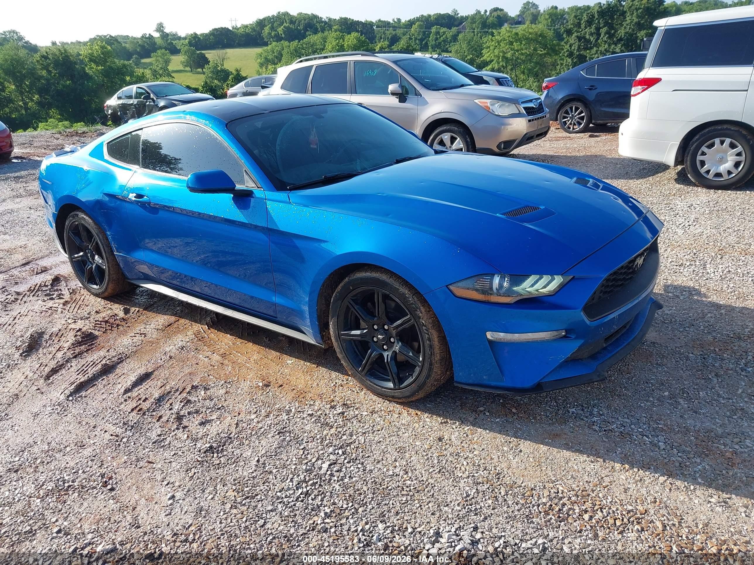 2019 Ford Mustang EcoBoost, VIN 1FA6P8TH6K5202052 — Hail