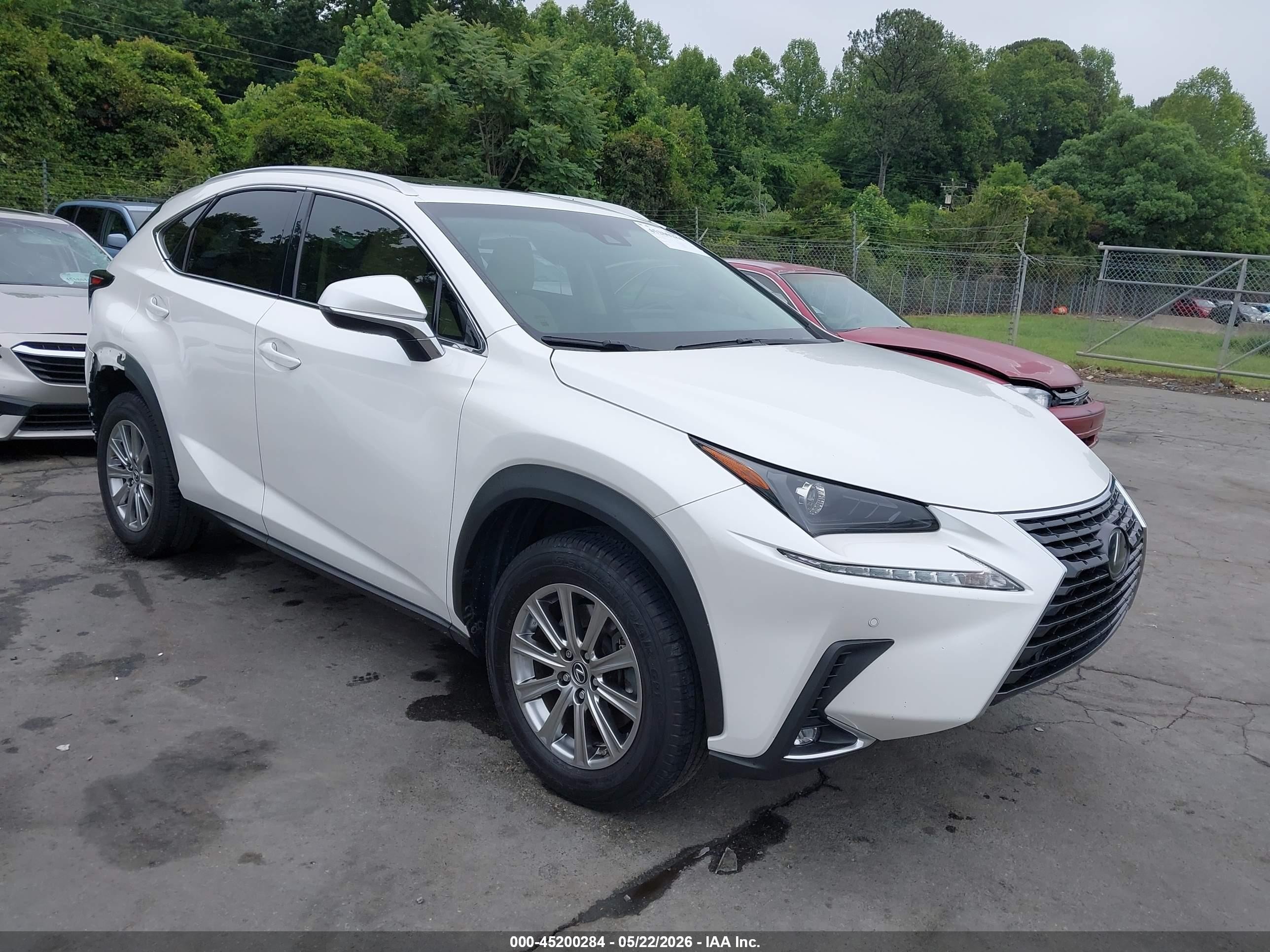 2018 Lexus NX 300, VIN JTJYARBZ0J2087143 — Rear end
