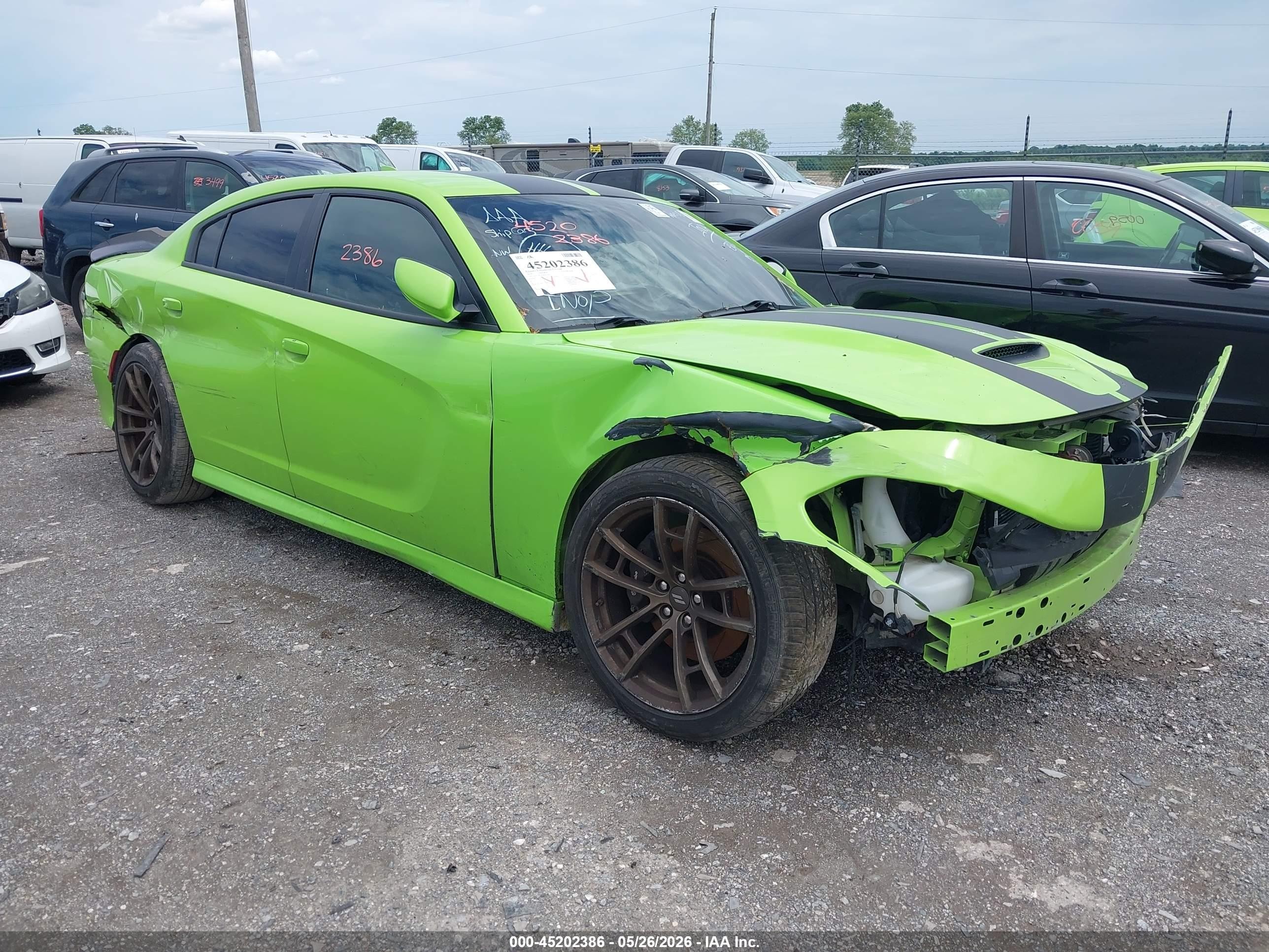 2019 Dodge Charger Scat Pack, VIN 2C3CDXGJXKH736021 — All over