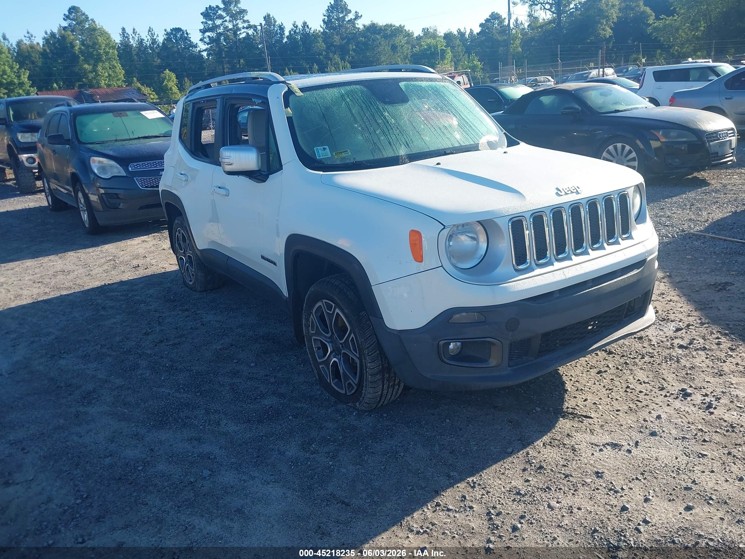 2016 Jeep Renegade Limited, VIN ZACCJBDT3GPE30345 — Vandalism