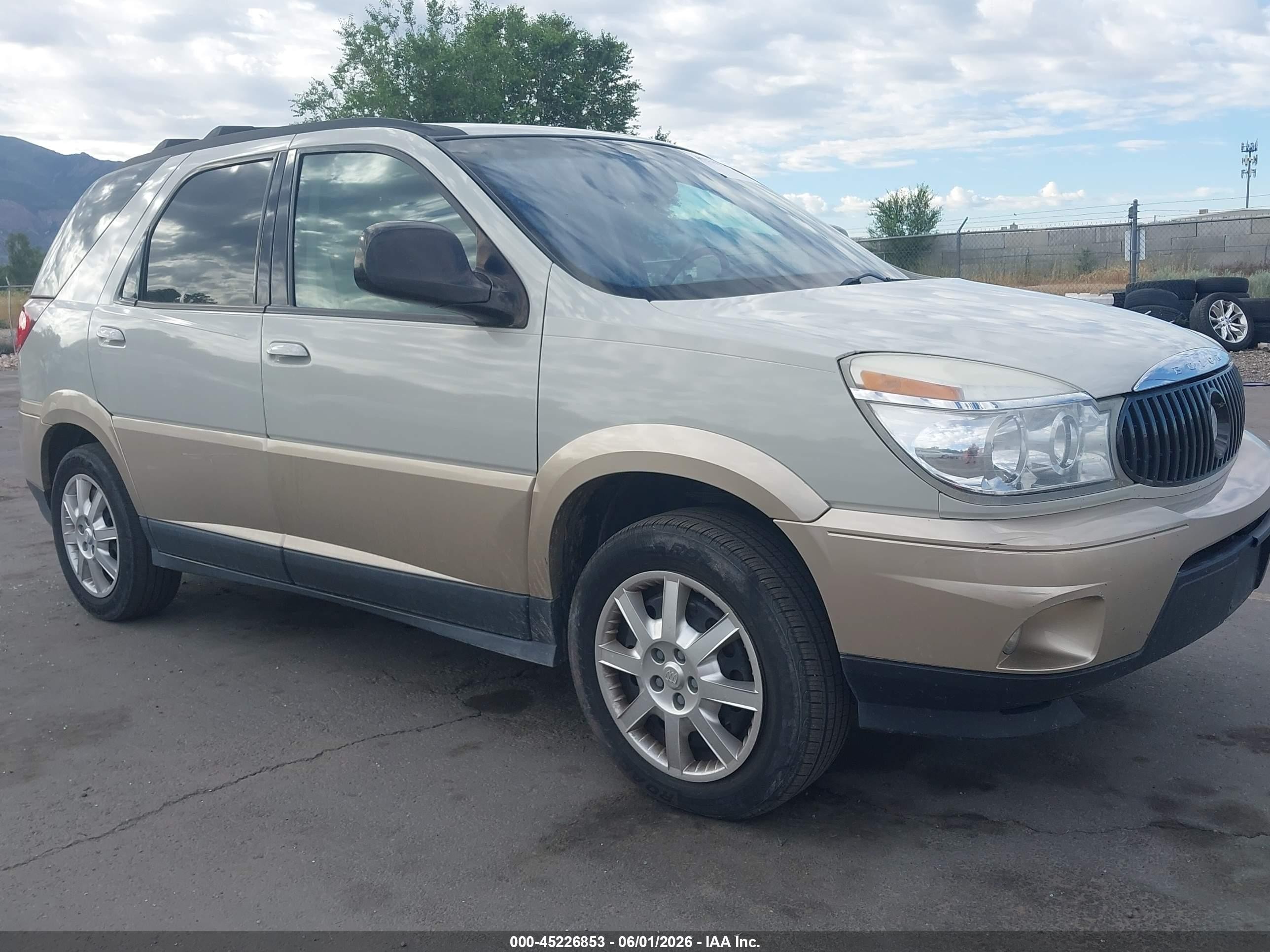 2005 Buick Rendezvous, VIN 3G5DB03E75S539970 — Rear end