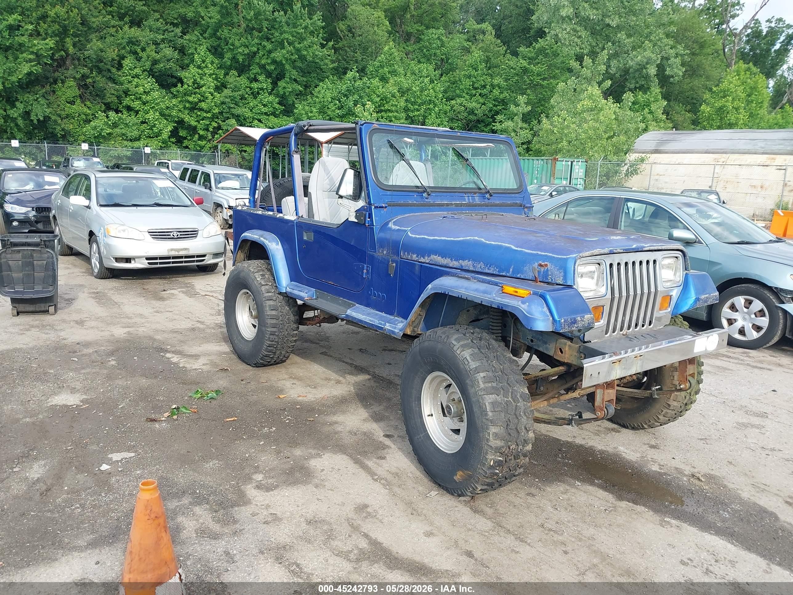 1994 Jeep Wrangler, VIN 1J4FY29S6RP452360 — Normal wear