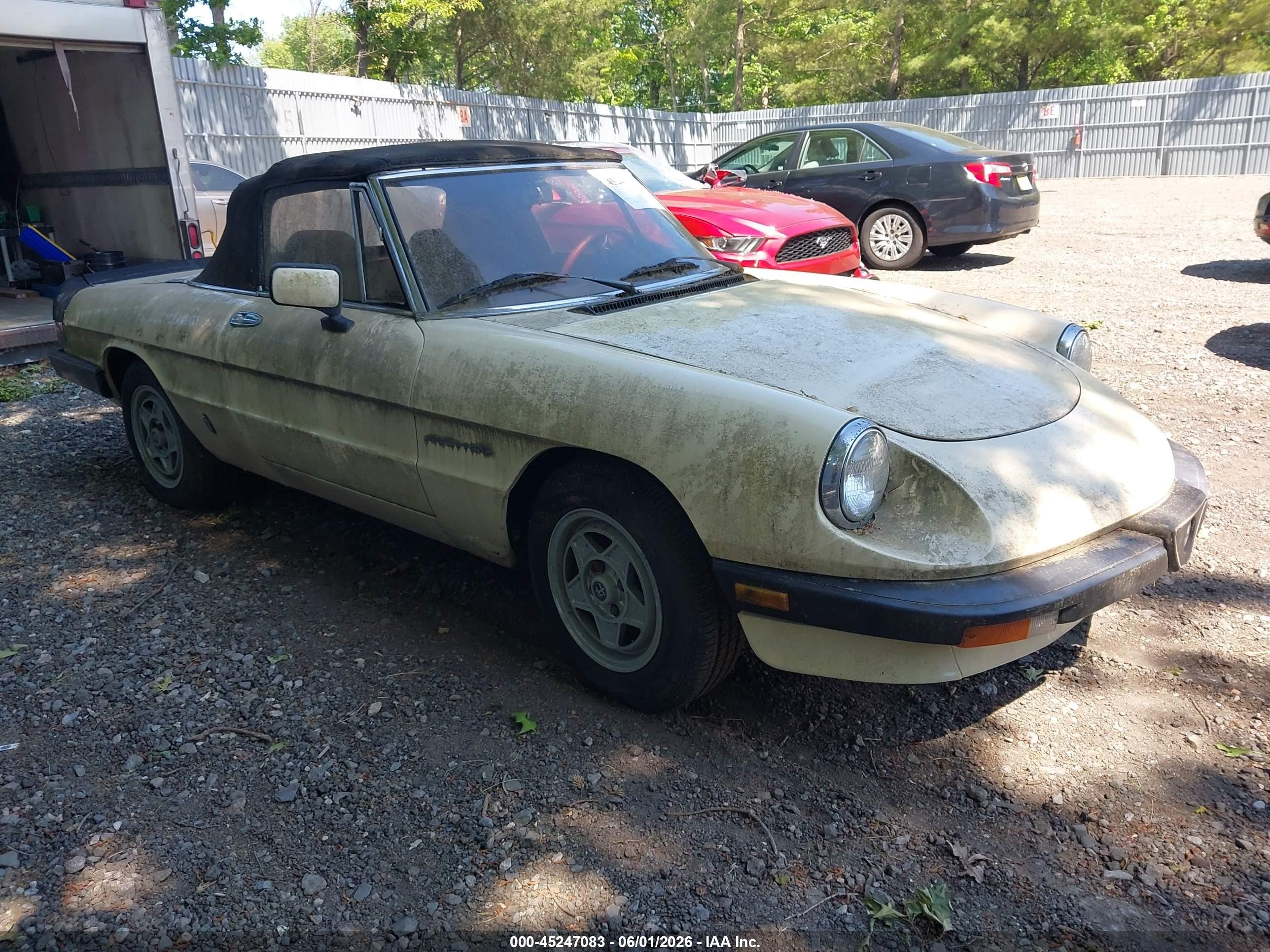 1984 Alfa Romeo Spider Veloce, VIN ZARBA5412E1020702 — Normal wear