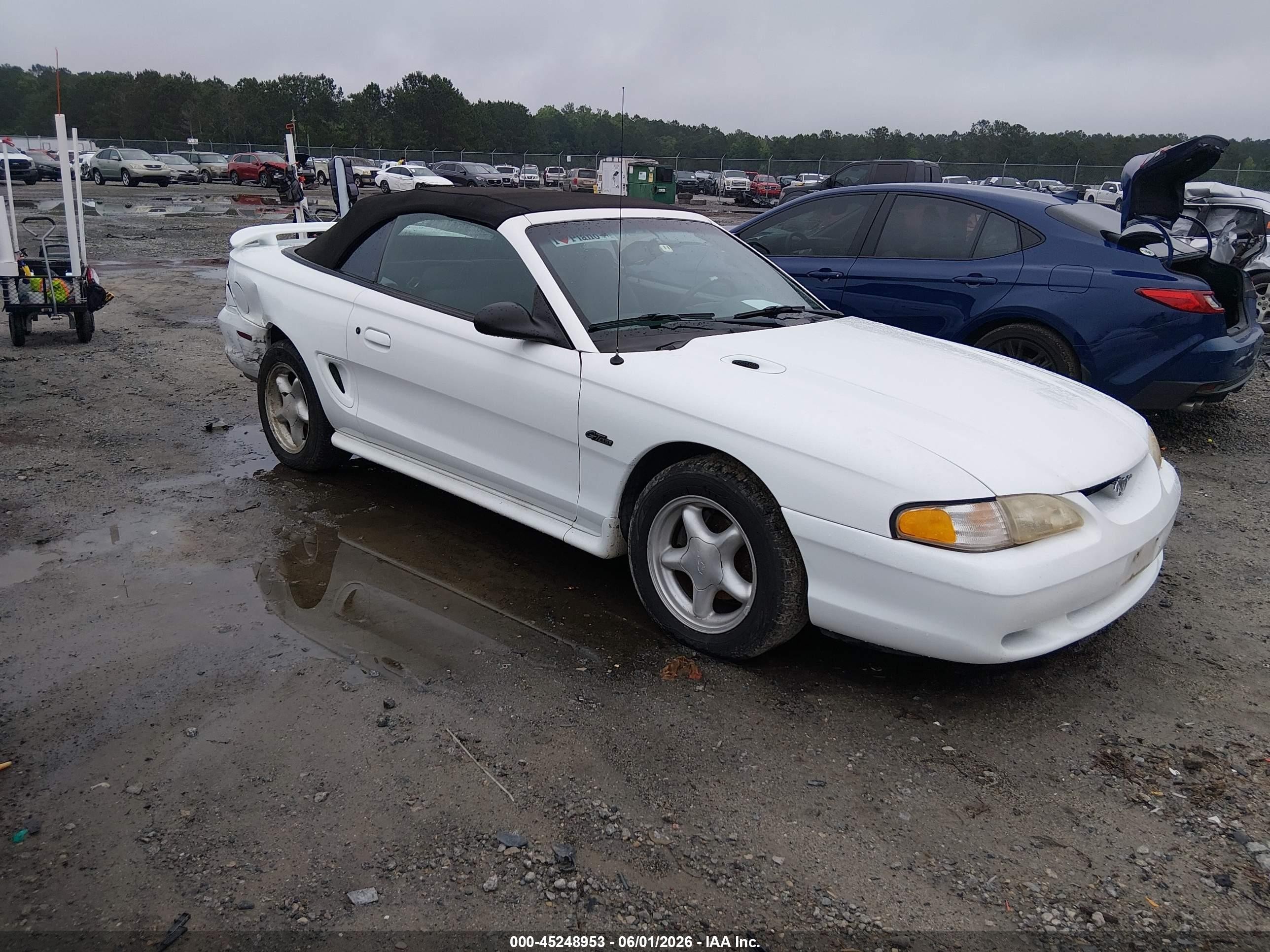 1998 Ford Mustang GT, VIN 1FAFP45X8WF186983 — Зад
