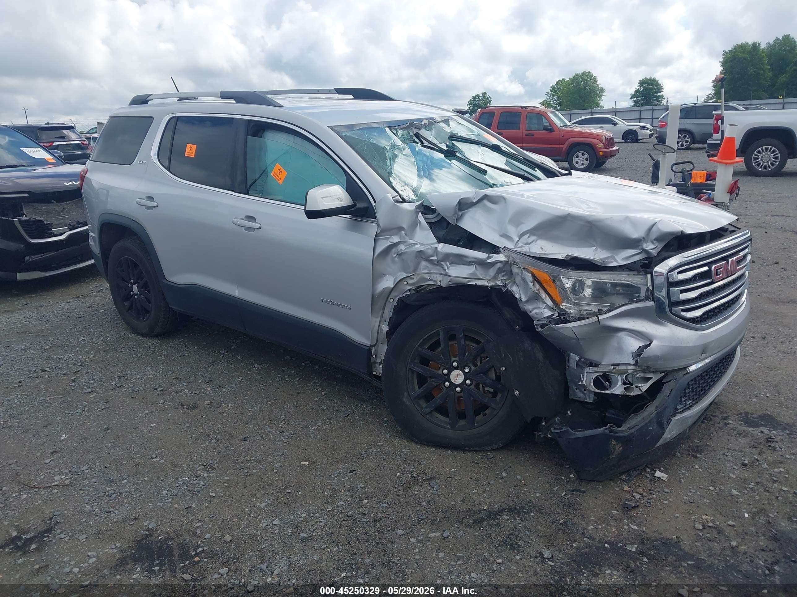 2018 GMC Acadia SLT, VIN 1GKKNMLA8JZ135878 — Биологическое загрязнение