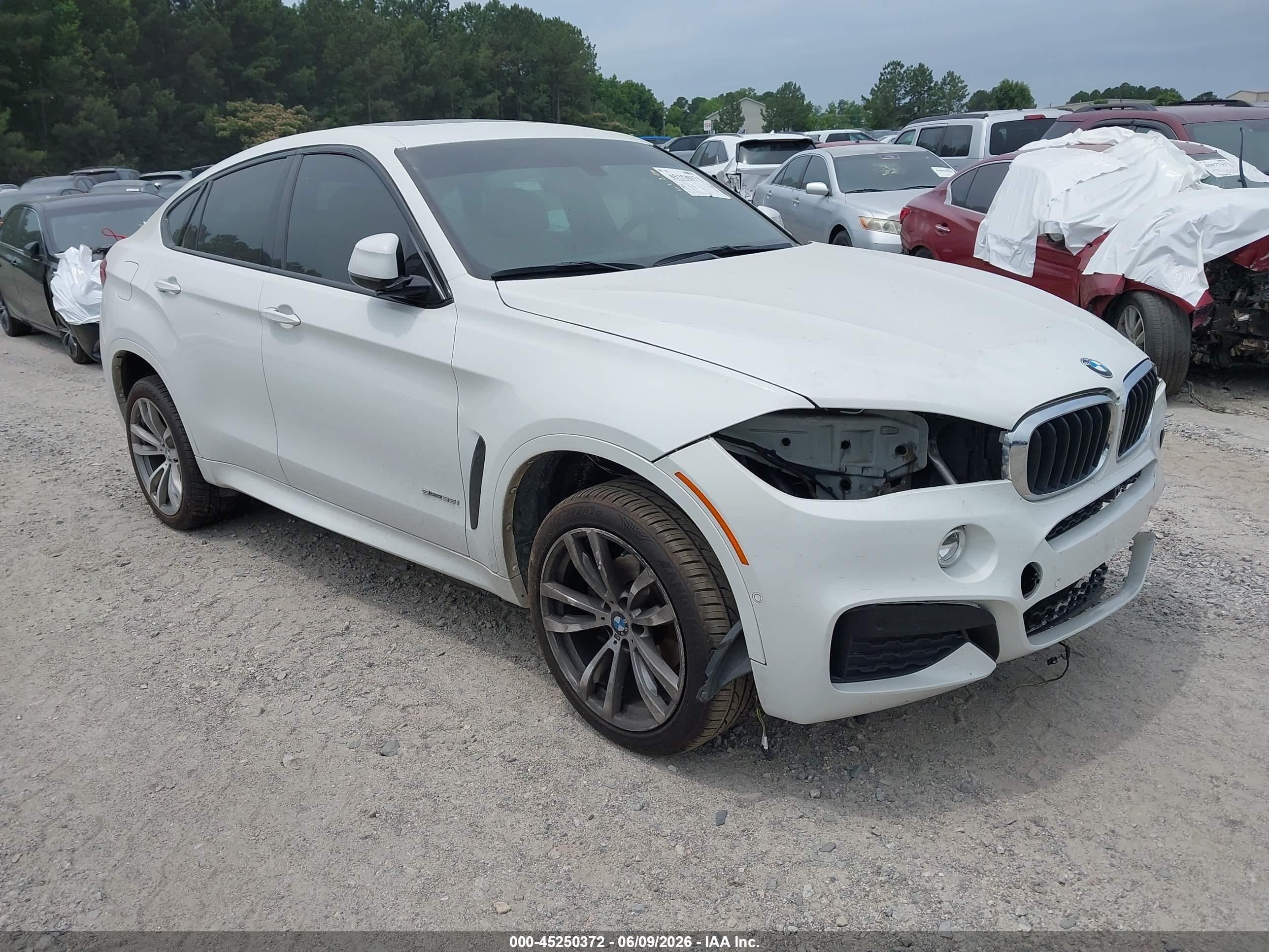 2018 BMW X6 sDrive35i, VIN 5UXKU0C50J0G69506 — Перед