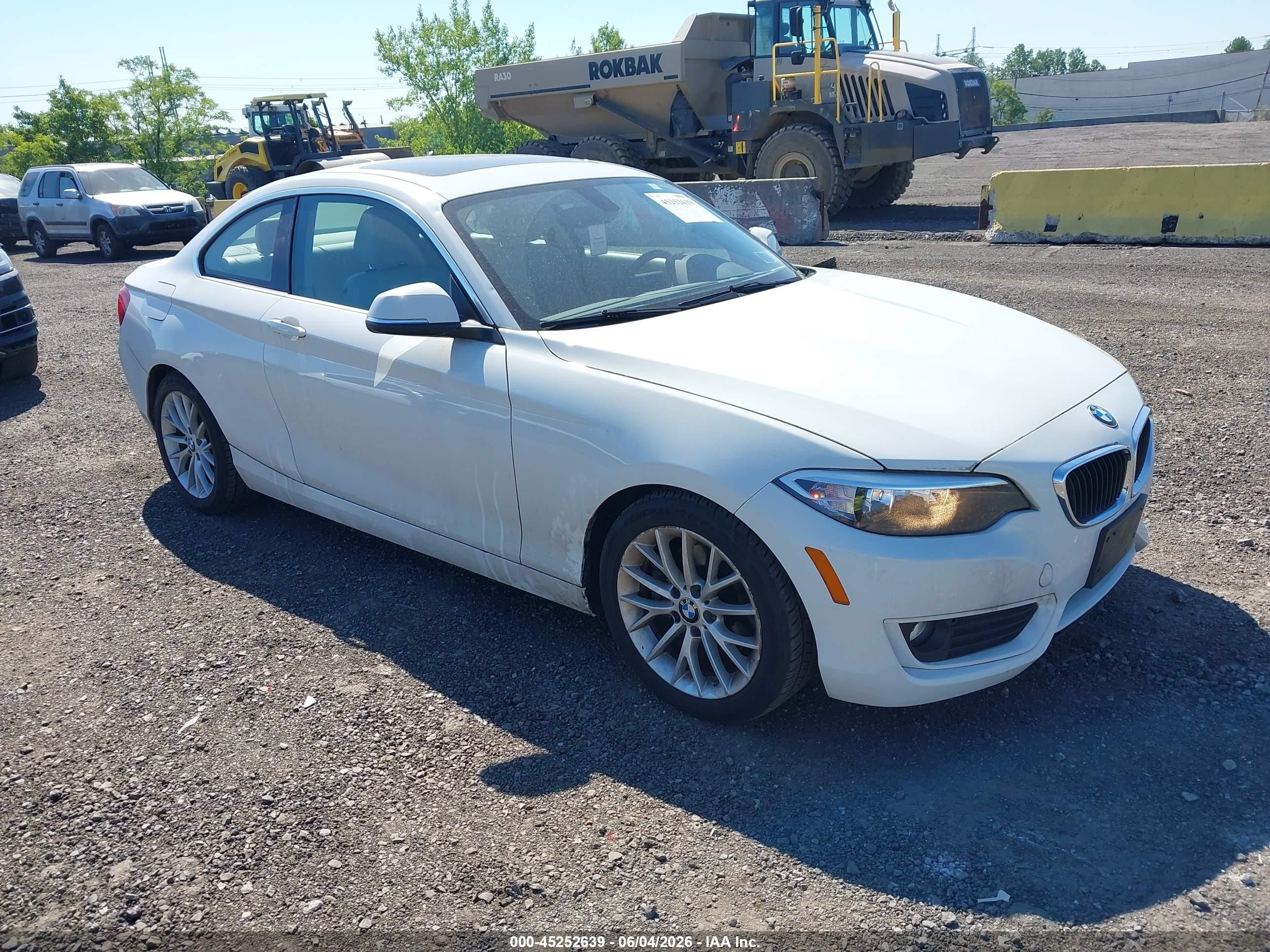 2014 BMW 2 Series 228i, VIN WBA1F5C53EVV99698 — Water / flood