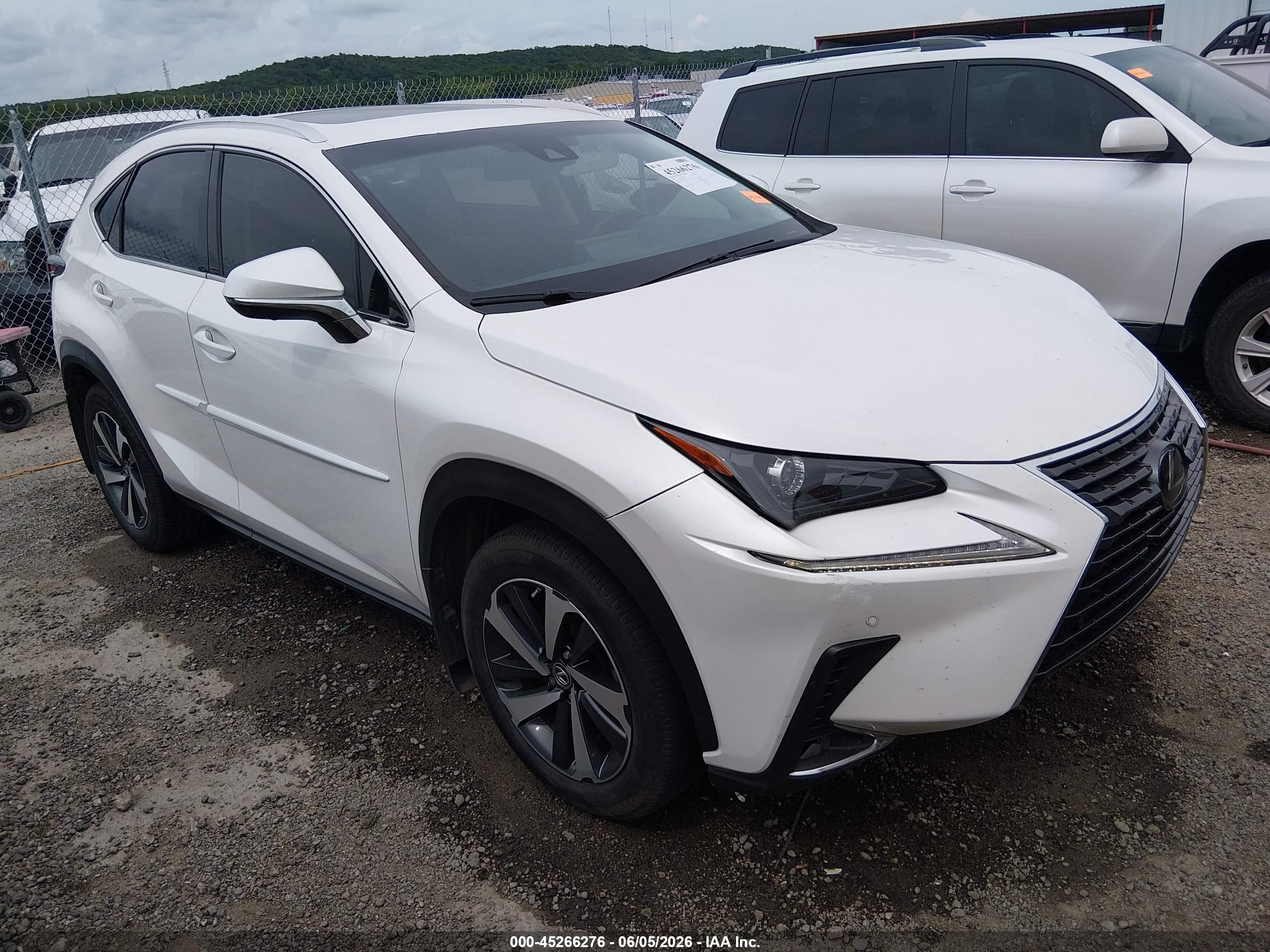 2019 Lexus NX 300, VIN JTJYARBZ4K2142243 — Hail