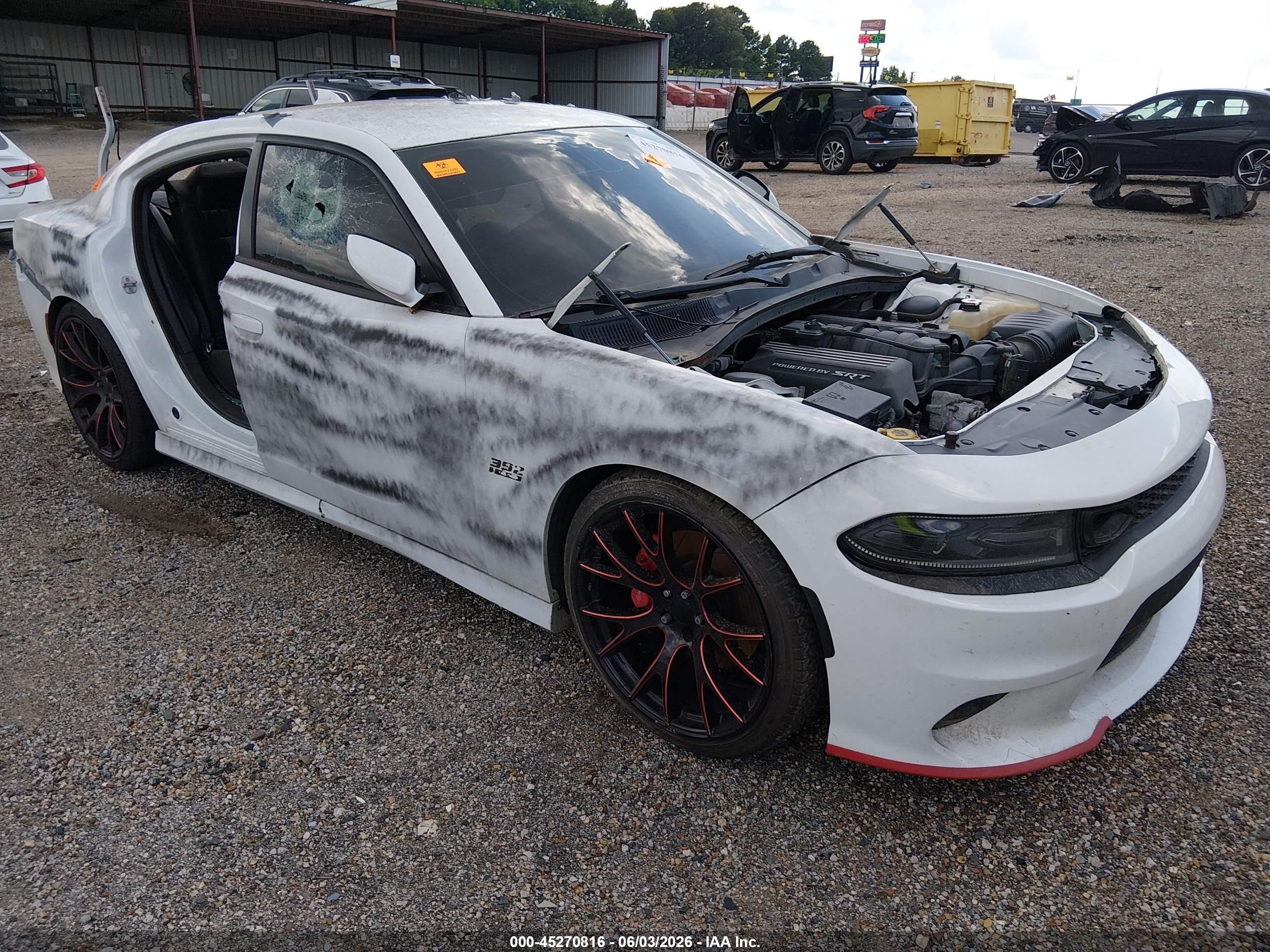 2019 Dodge Charger Scat Pack, VIN 2C3CDXGJ1KH520090 — Biohazard / chemical