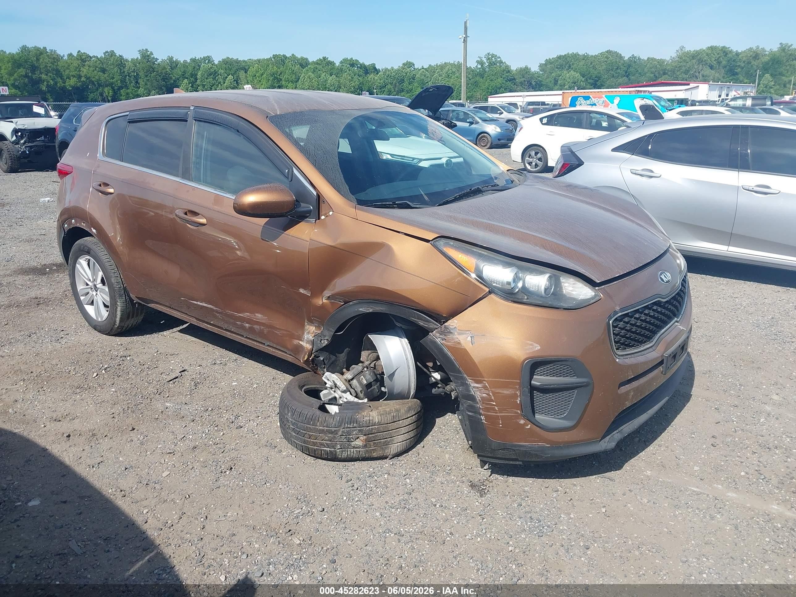 2019 Kia Sportage LX, VIN KNDPM3AC1K7500059 — Side