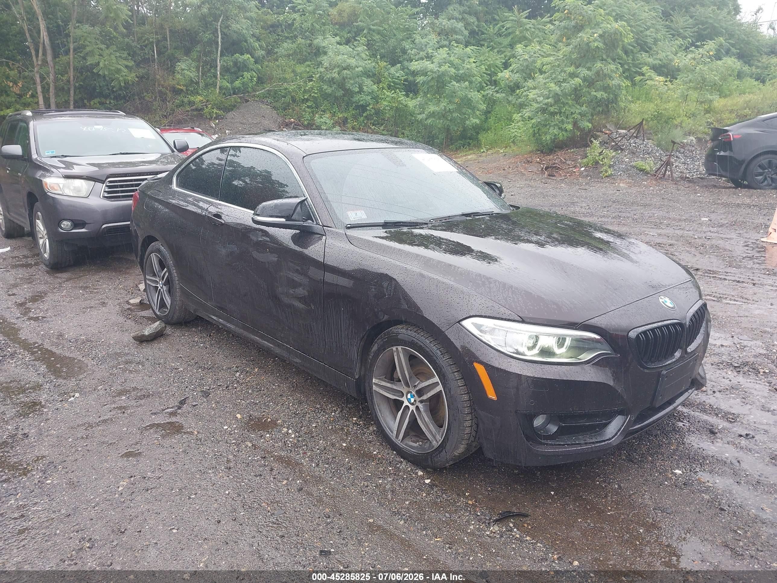 2017 BMW 2 Series 230i, VIN WBA2F9C39HV635893 — Frame damage