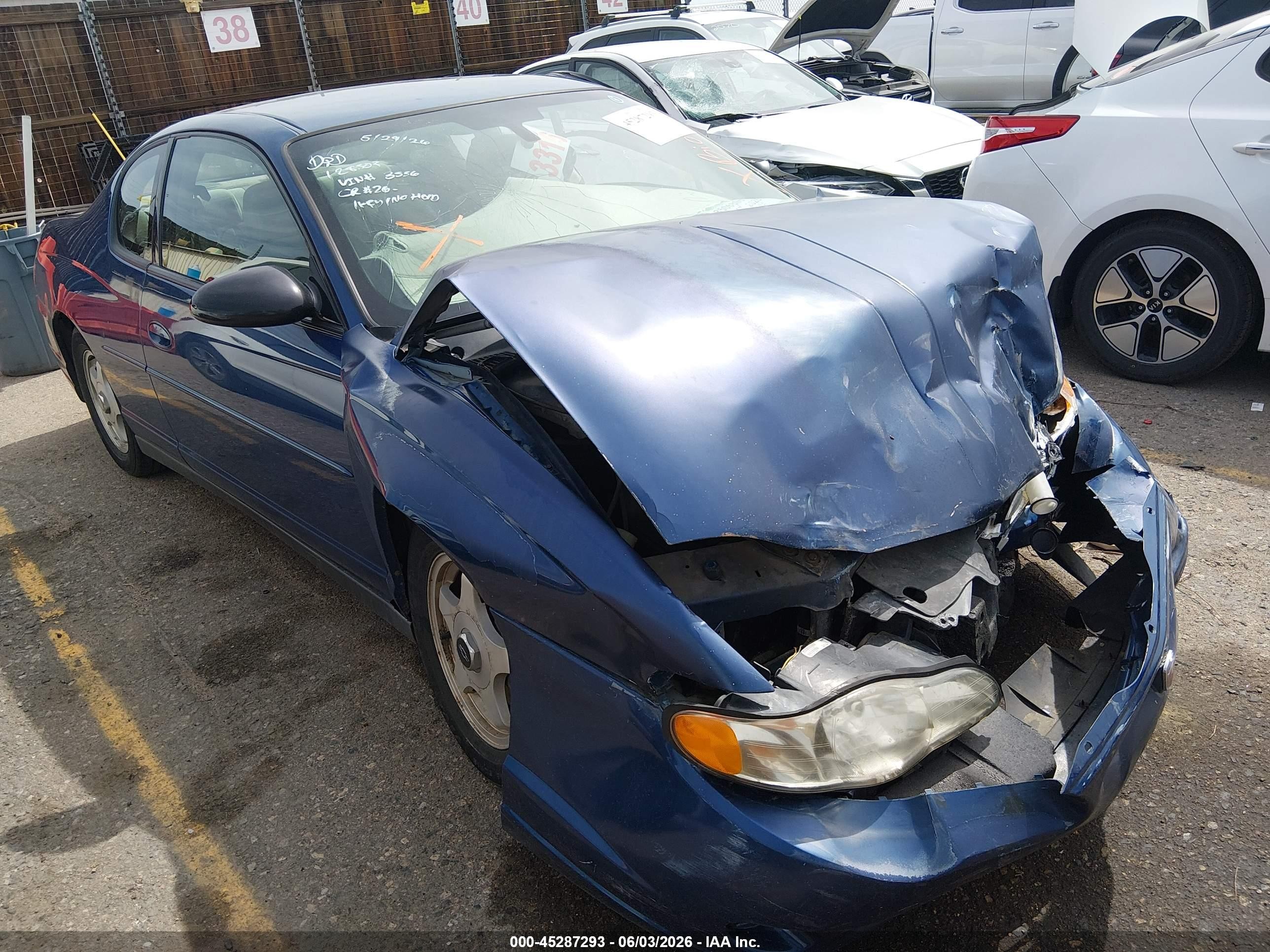 2004 Chevrolet Monte Carlo LS, VIN 2G1WW12E049193536 — Биологическое загрязнение