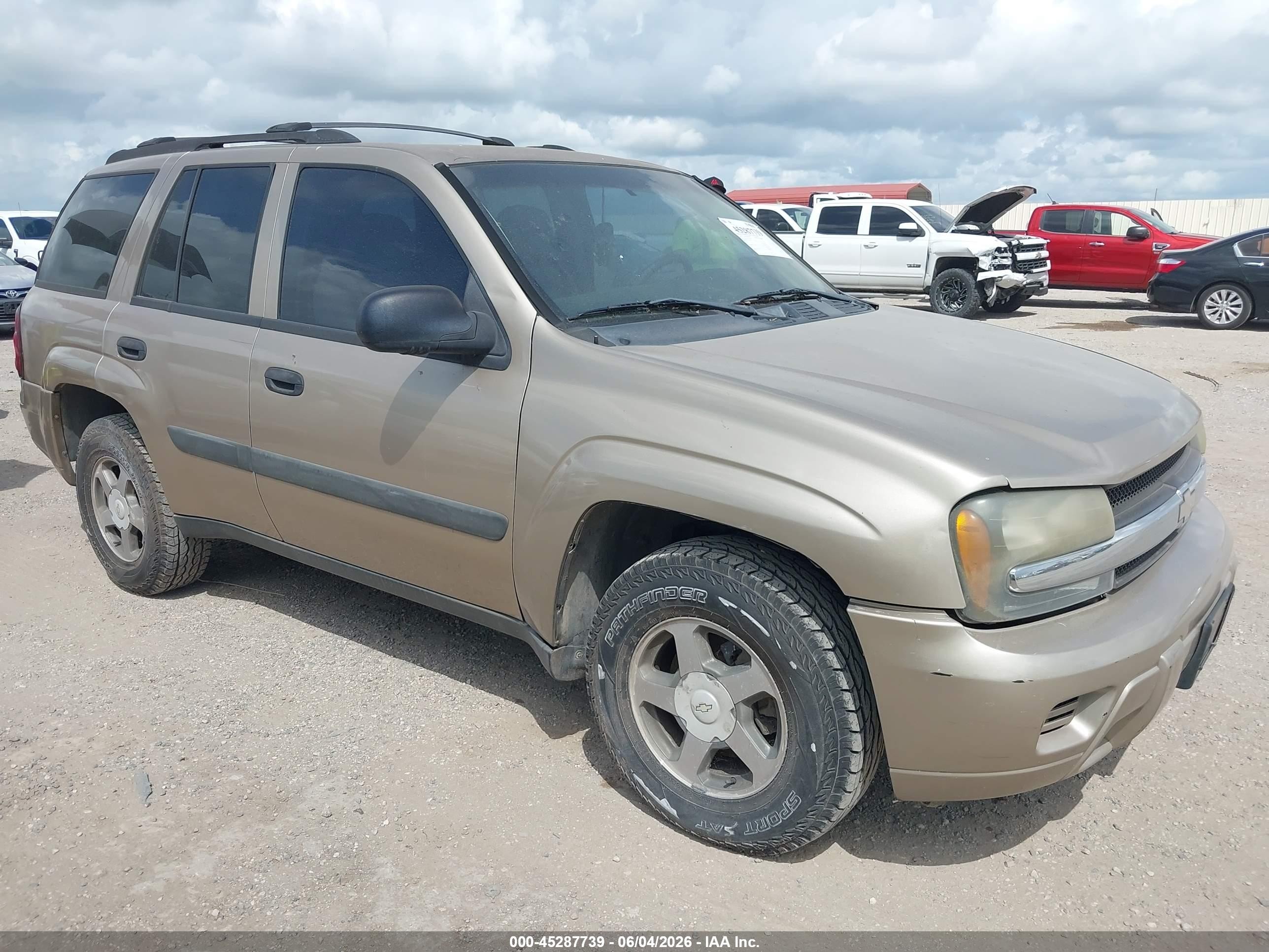 2005 Chevrolet TrailBlazer LT, VIN 1GNDT13S752268915 — Hail