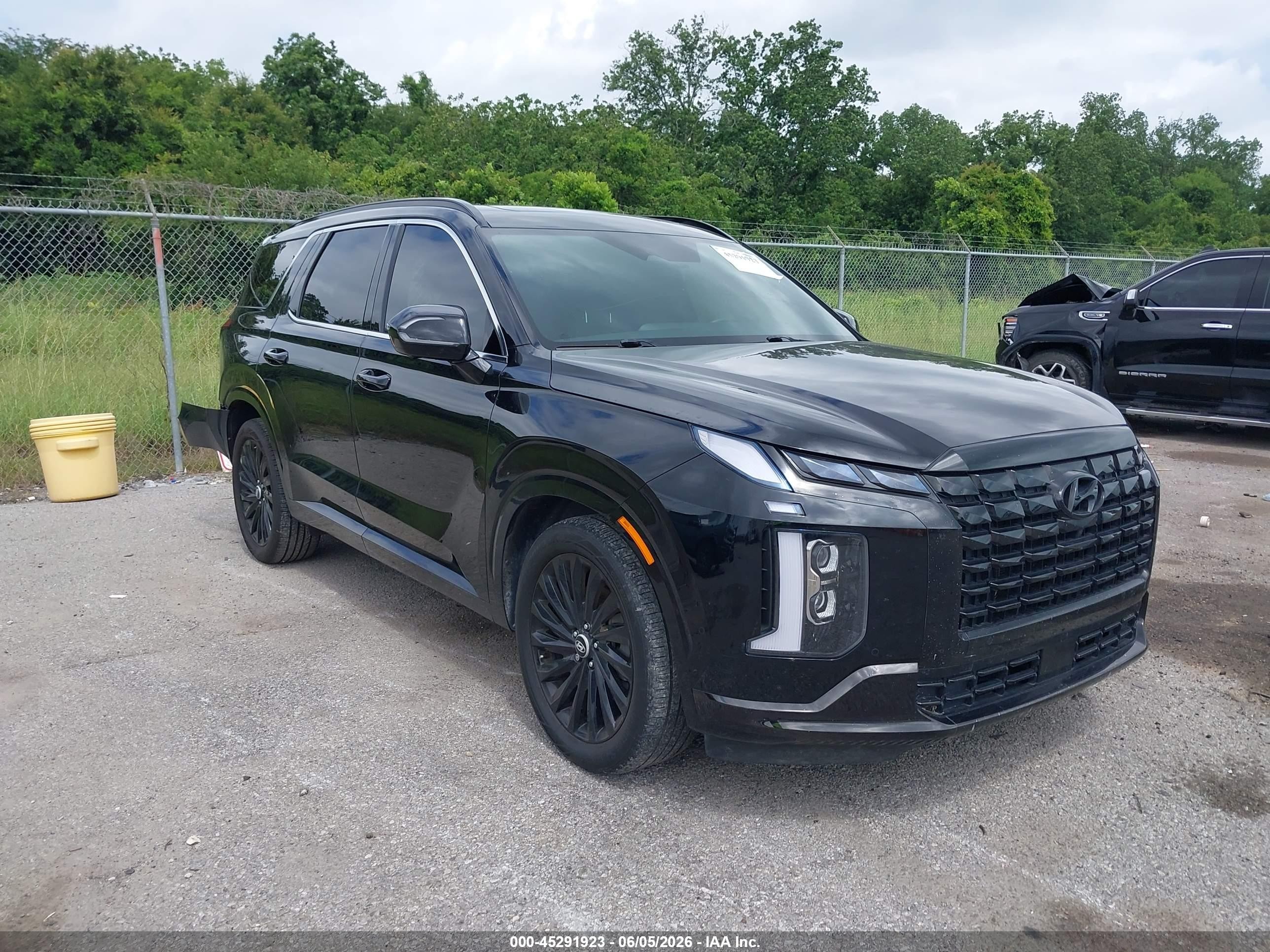 2024 Hyundai Palisade Calligraphy, VIN KM8R7DGE3RU800871 — Rear end