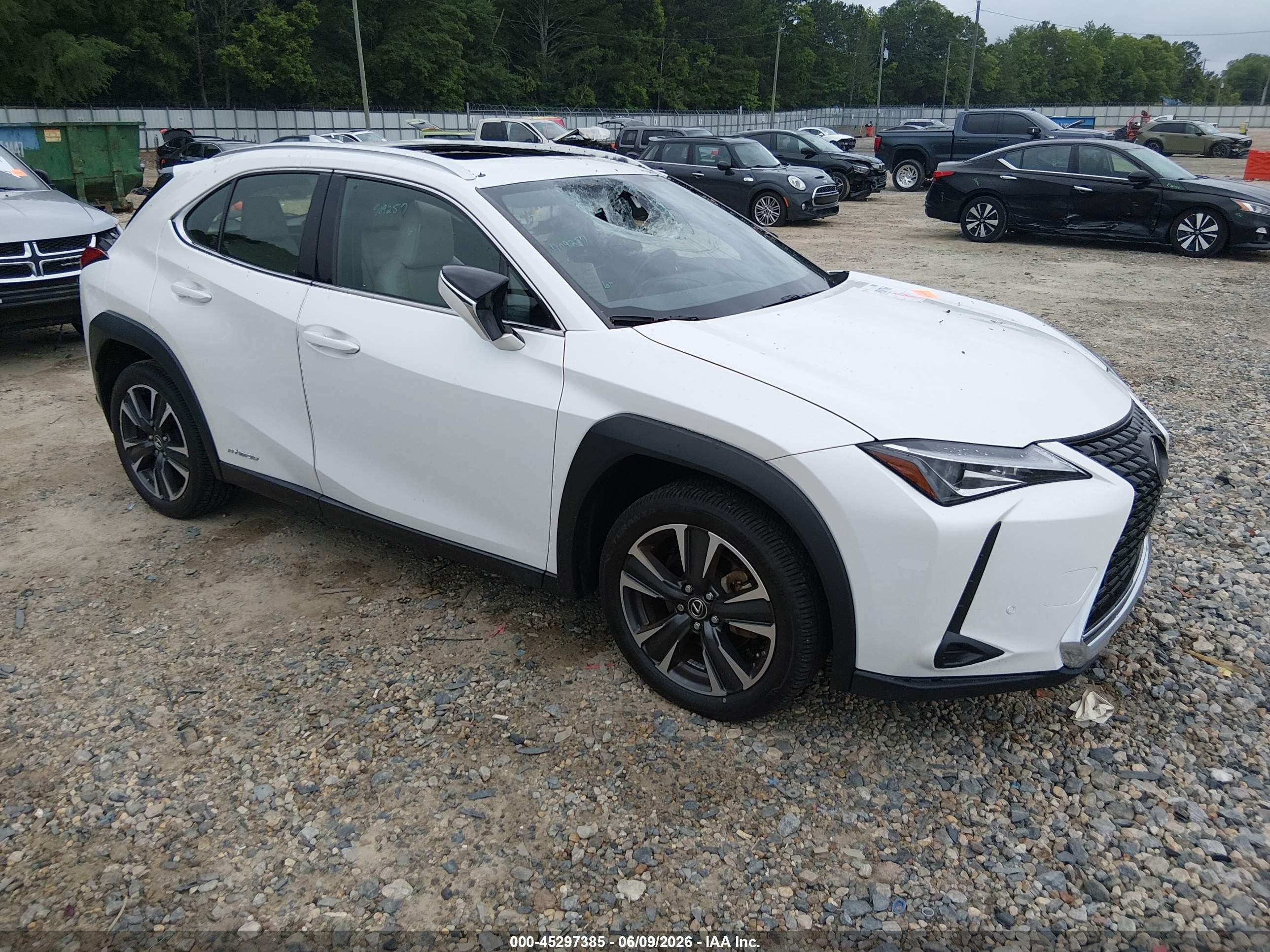 2019 Lexus UX 250h, VIN JTHU9JBH5K2004826 — Roof