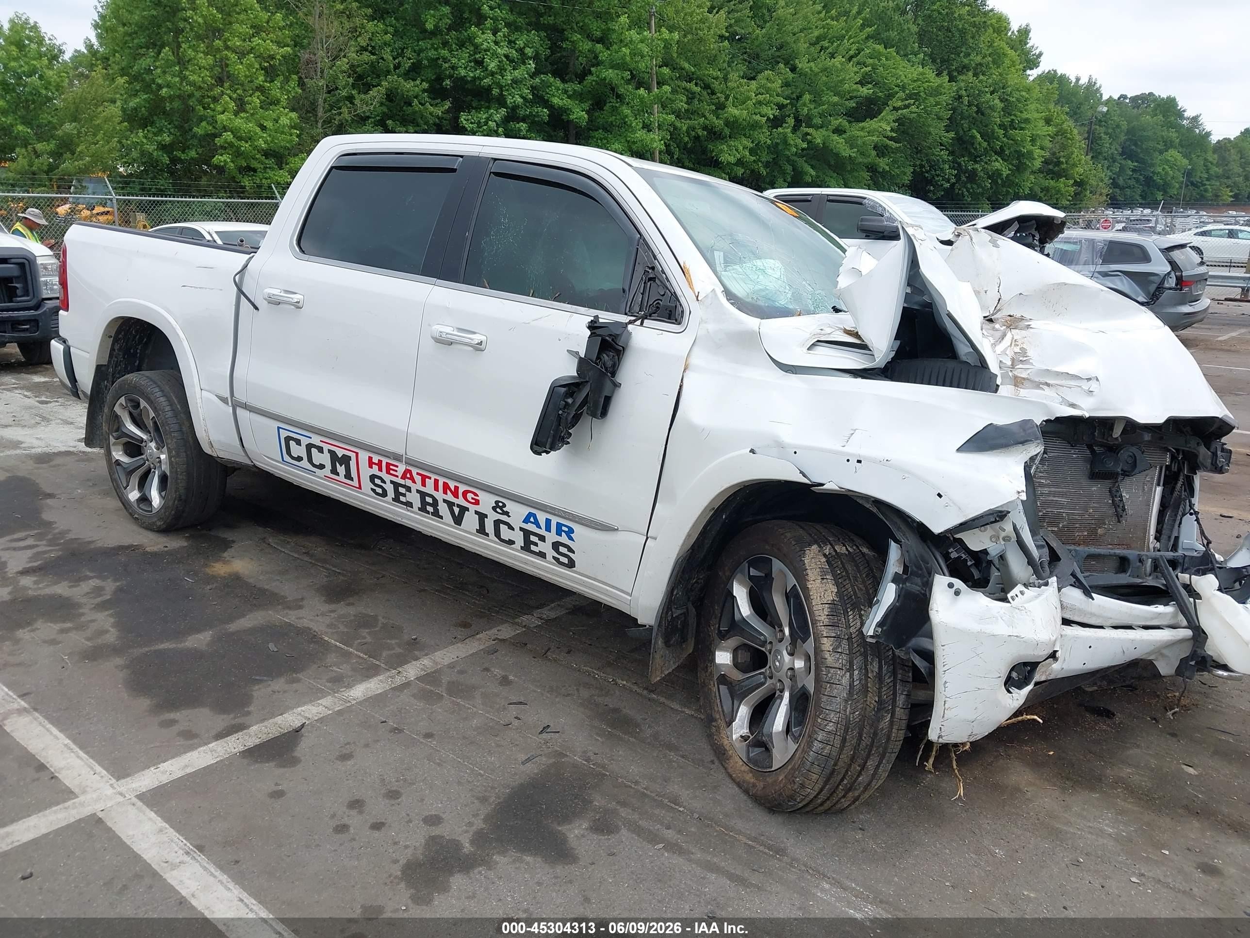 2021 Ram 1500 Limited, VIN 1C6SRFHT5MN588235 — Биологическое загрязнение