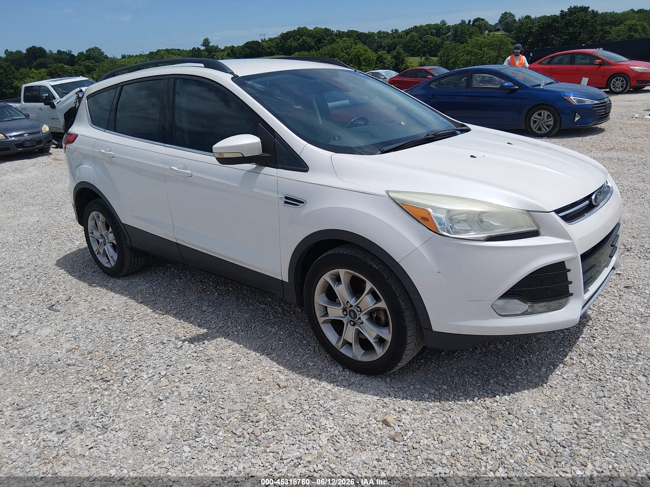 2013 Ford Escape SEL, VIN 1FMCU9H94DUB66296 — Hail