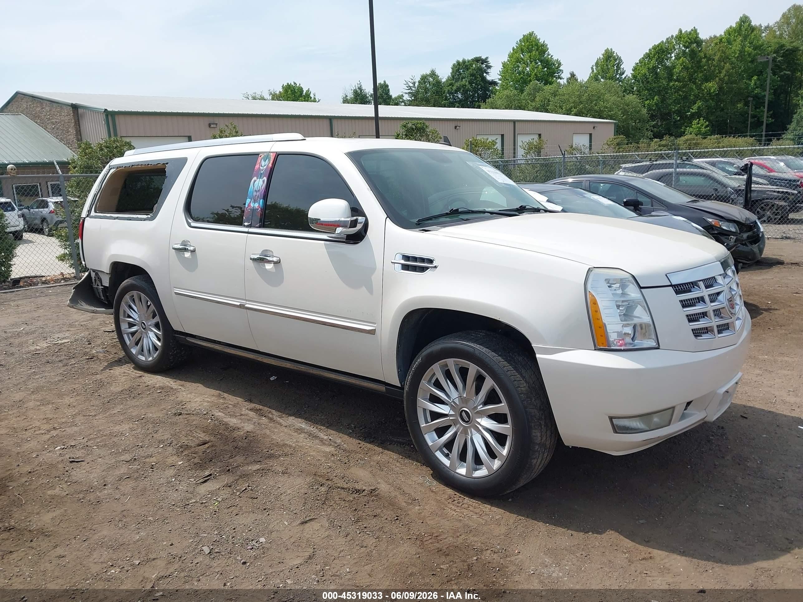 2010 Cadillac Escalade ESV Premium, VIN 1GYUKJEF8AR289392 — Side