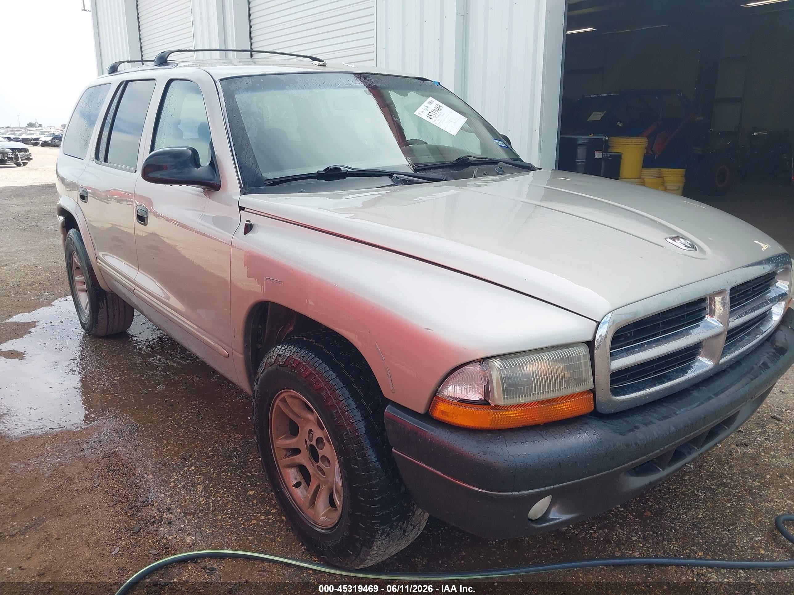2002 Dodge Durango, VIN 1B4HR48Z02F108862 — Hail