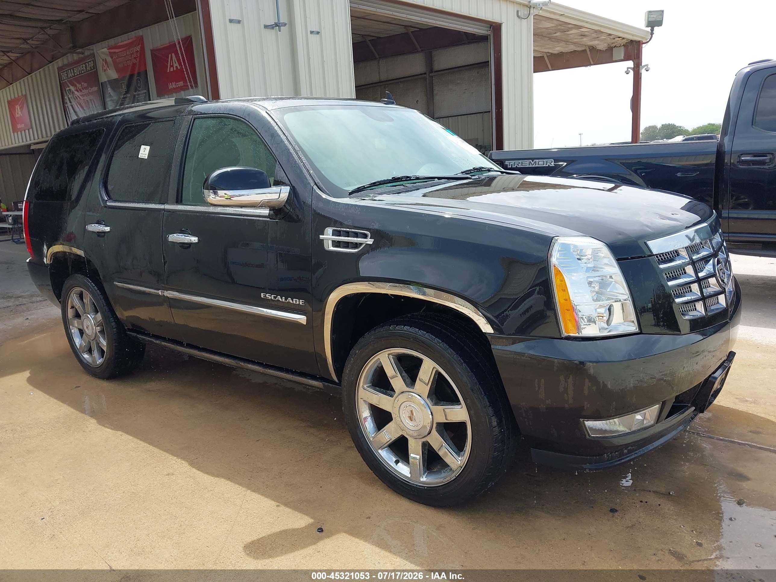 2010 Cadillac Escalade Premium, VIN 1GYUCCEF8AR192993 — Hail