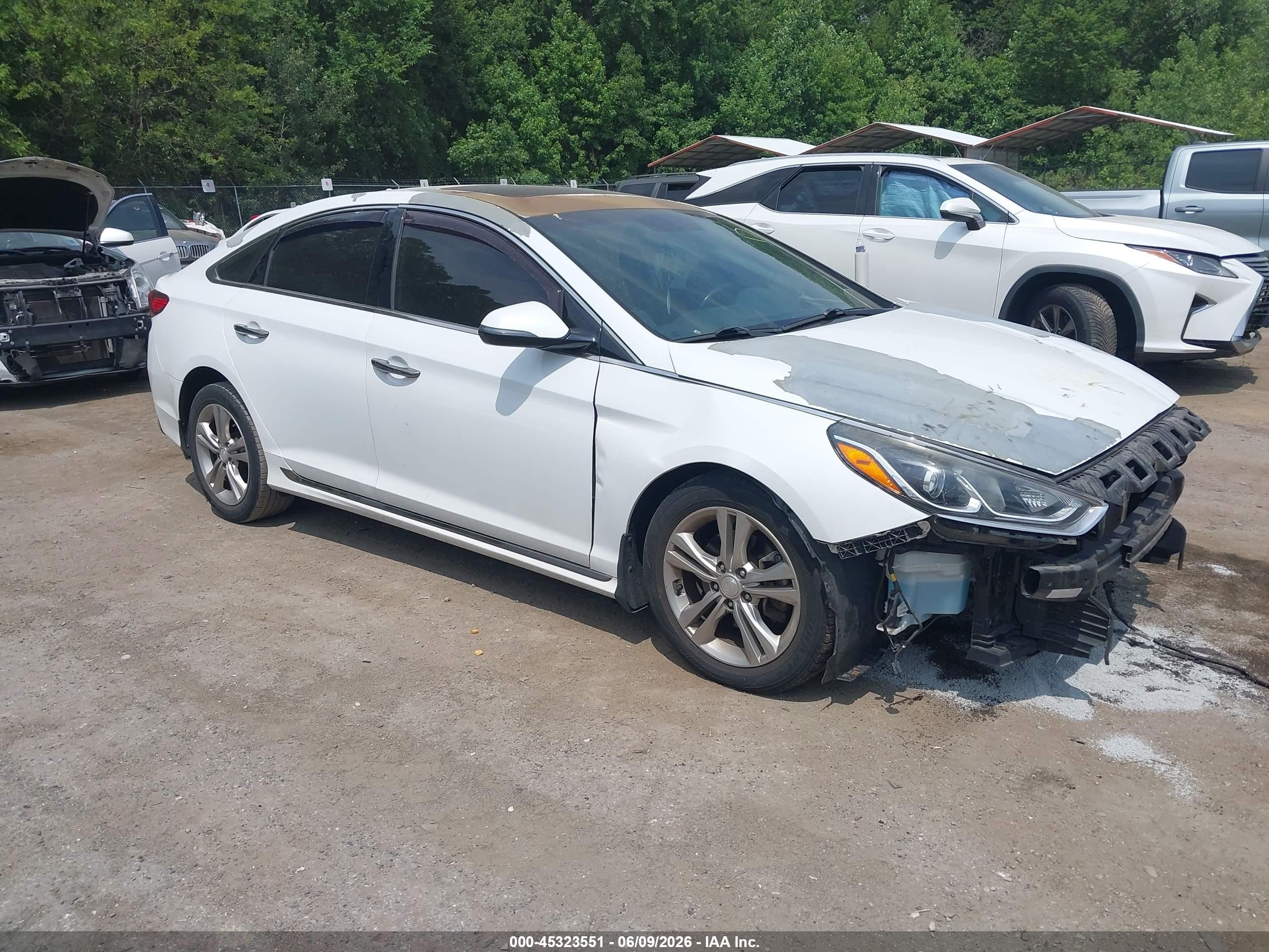2018 Hyundai Sonata Sport Plus, VIN 5NPE34AF3JH682433 — Front end
