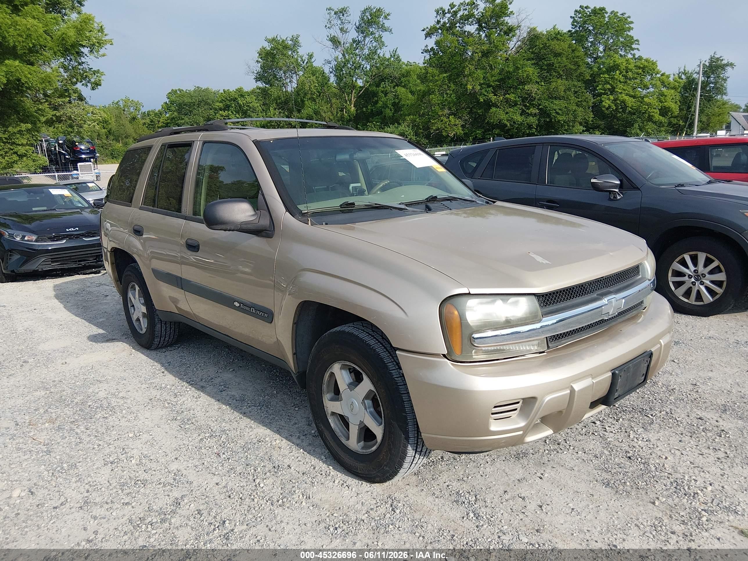2004 Chevrolet TrailBlazer LS, VIN 1GNDS13SX42196934 — Front end