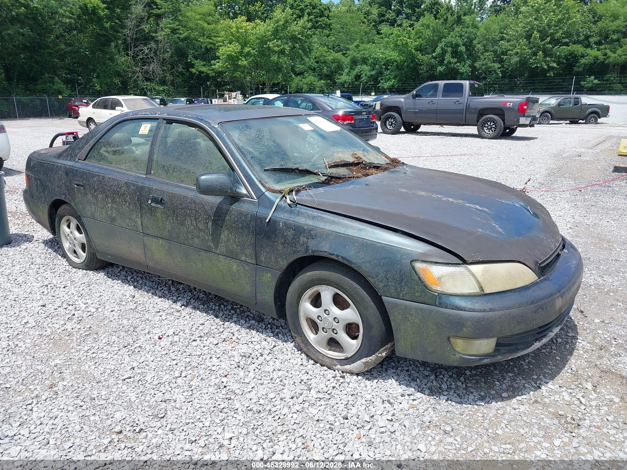 1997 Lexus ES 300, VIN JT8BF22G8V0035016 — Биологическое загрязнение