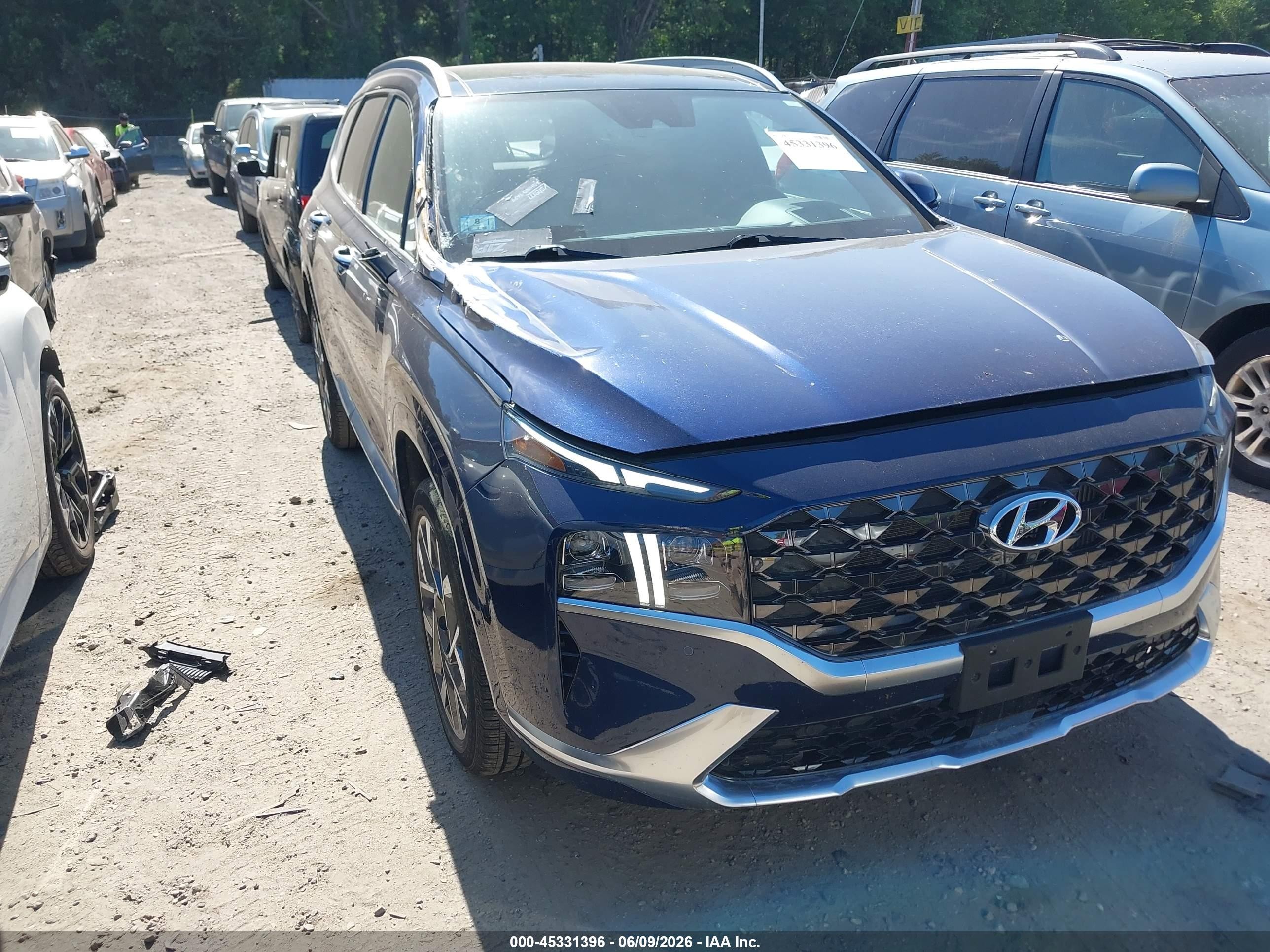 2023 Hyundai Santa Fe Calligraphy, VIN 5NMS5DAL6PH596851 — Стихия
