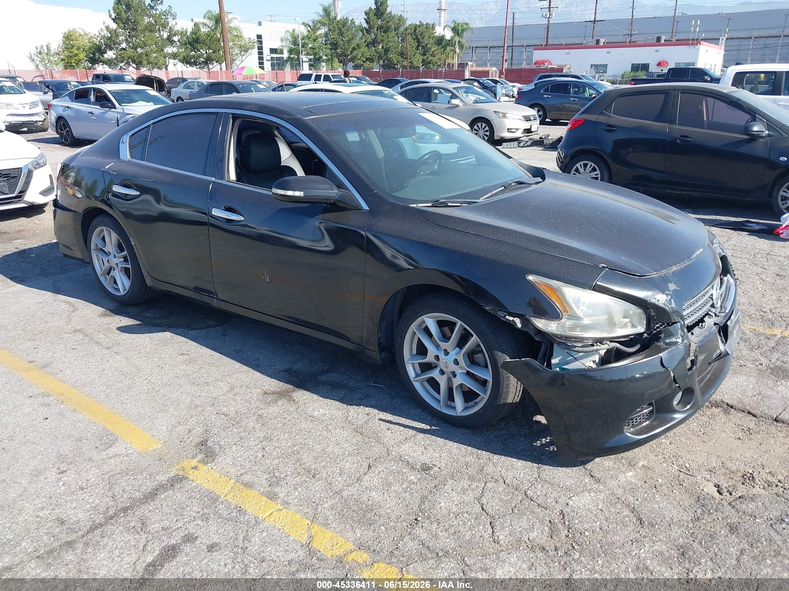 2010 Nissan Maxima SV, VIN 1N4AA5AP4AC855784 — Front end