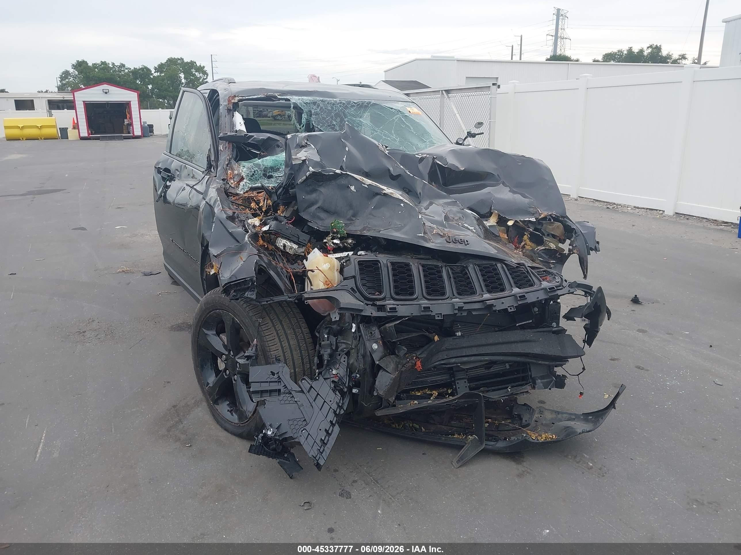 2023 Jeep Grand Cherokee Limited, VIN 1C4RJHBG9PC541831 — Биологическое загрязнение