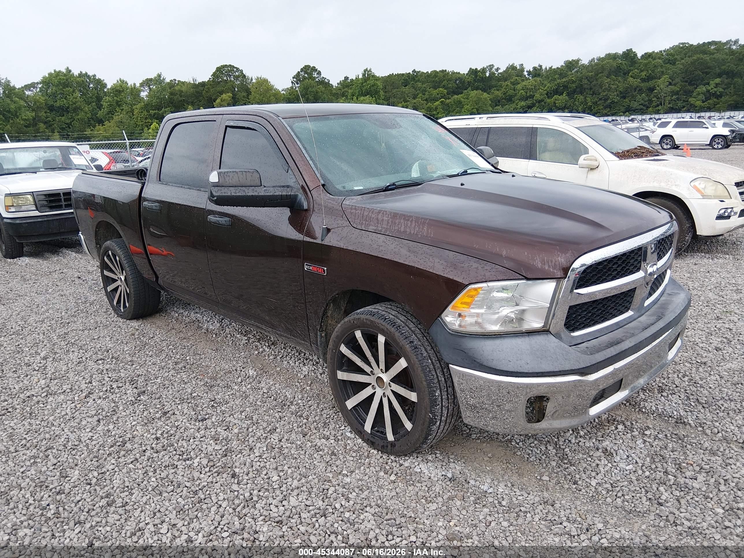 2015 Ram 1500 Tradesman, VIN 1C6RR6KM4FS590045 — Биологическое загрязнение