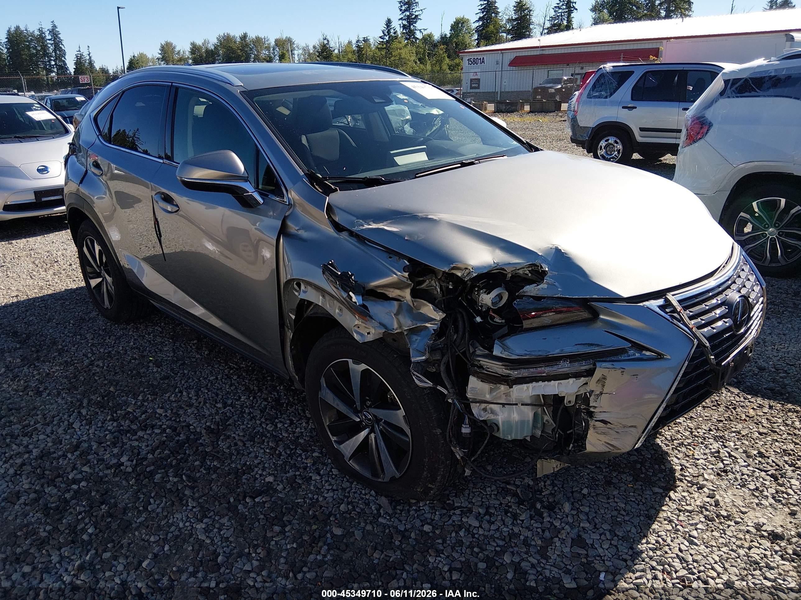 2021 Lexus NX 300, VIN JTJGARDZ2M2243406 — Перед