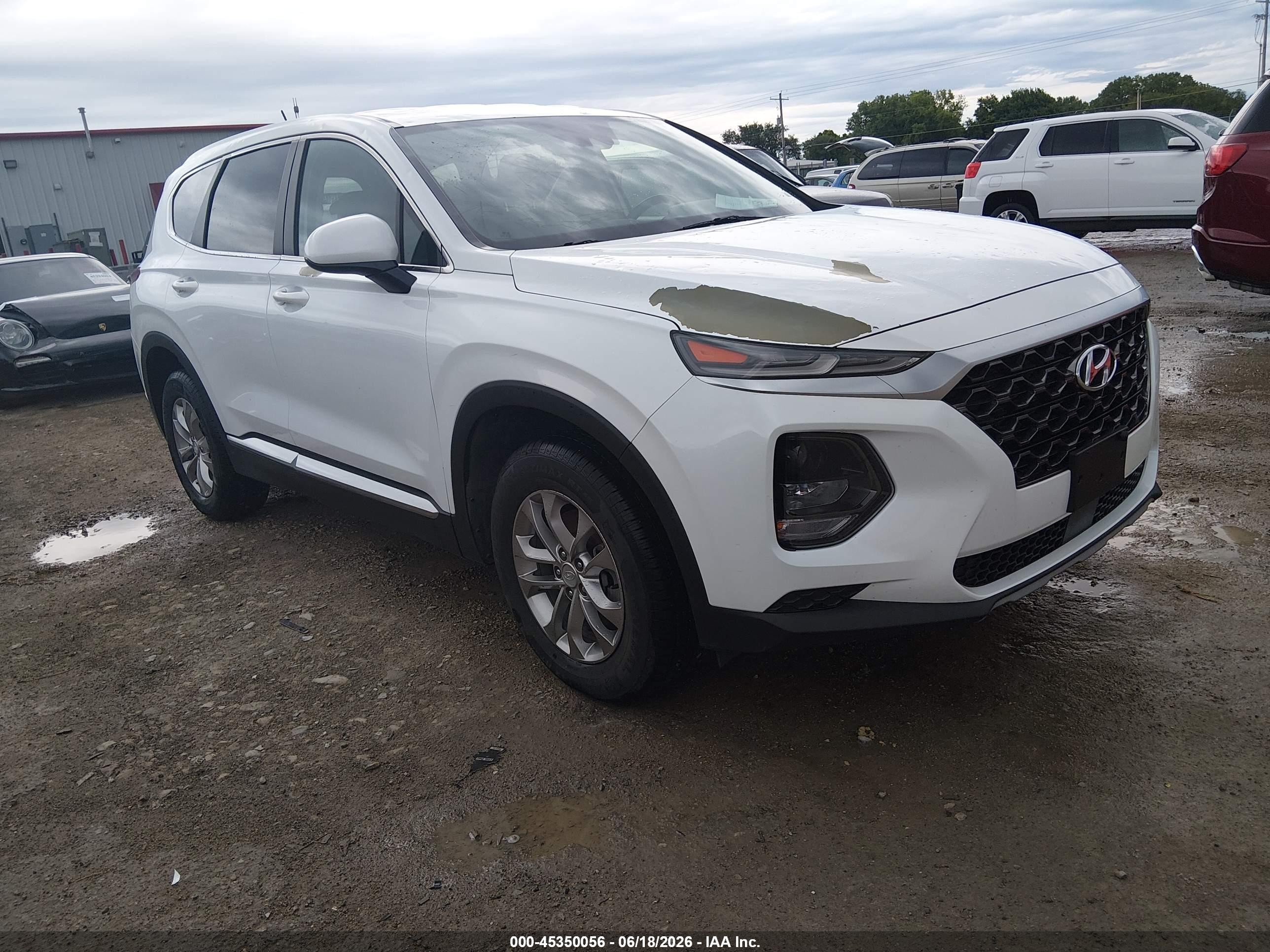 2019 Hyundai Santa Fe SE, VIN 5NMS2CAD3KH018064 — Hail
