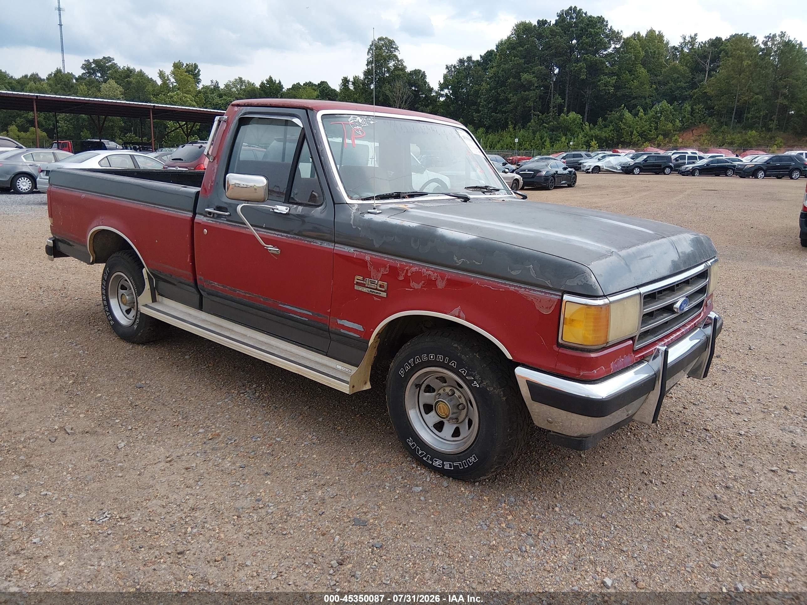 1990 Ford F-150, VIN 1FTDF15NXLNA48154 — All over