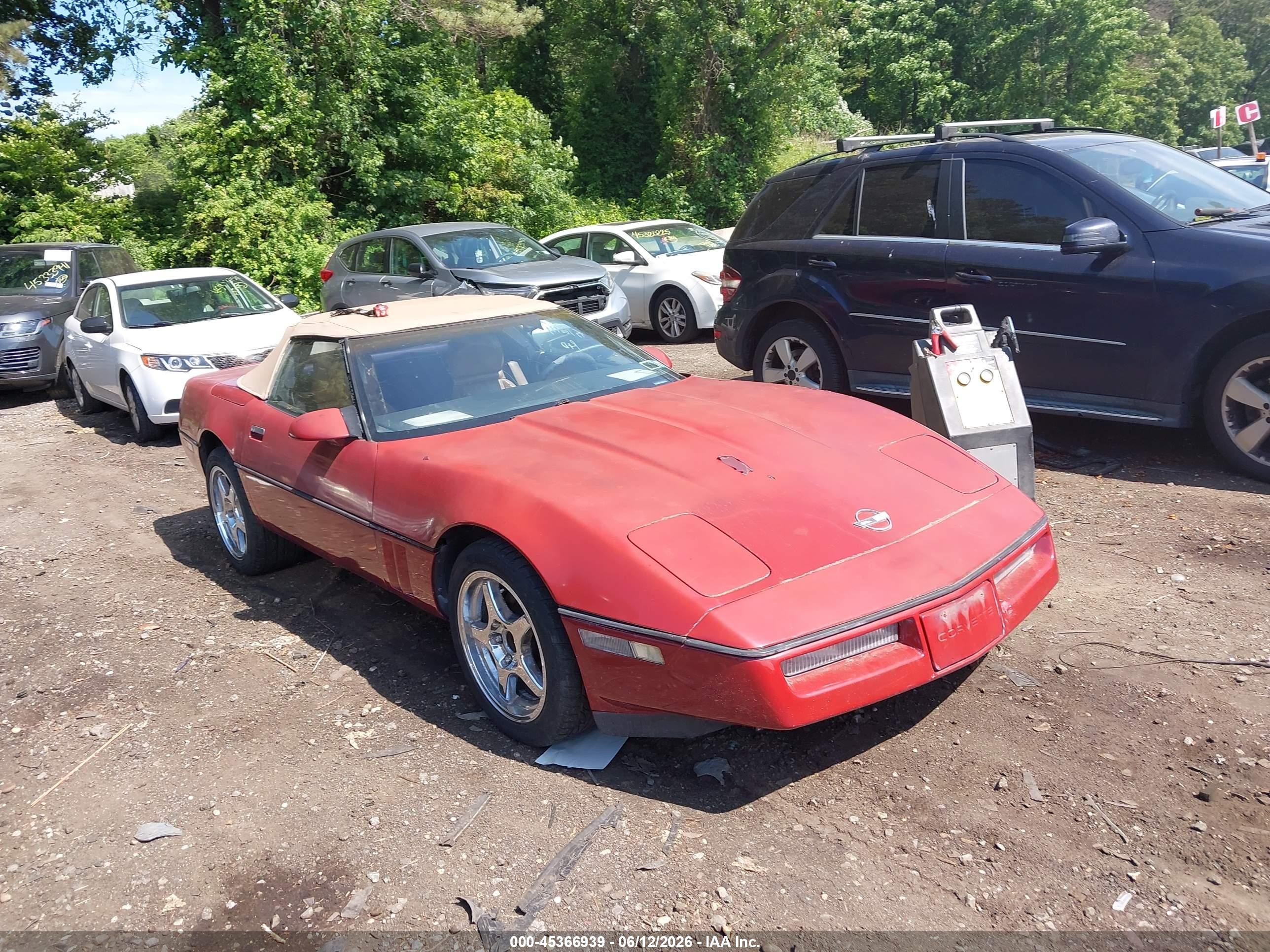 1989 Chevrolet Corvette, VIN 1G1YY3183K5103834 — Normal wear